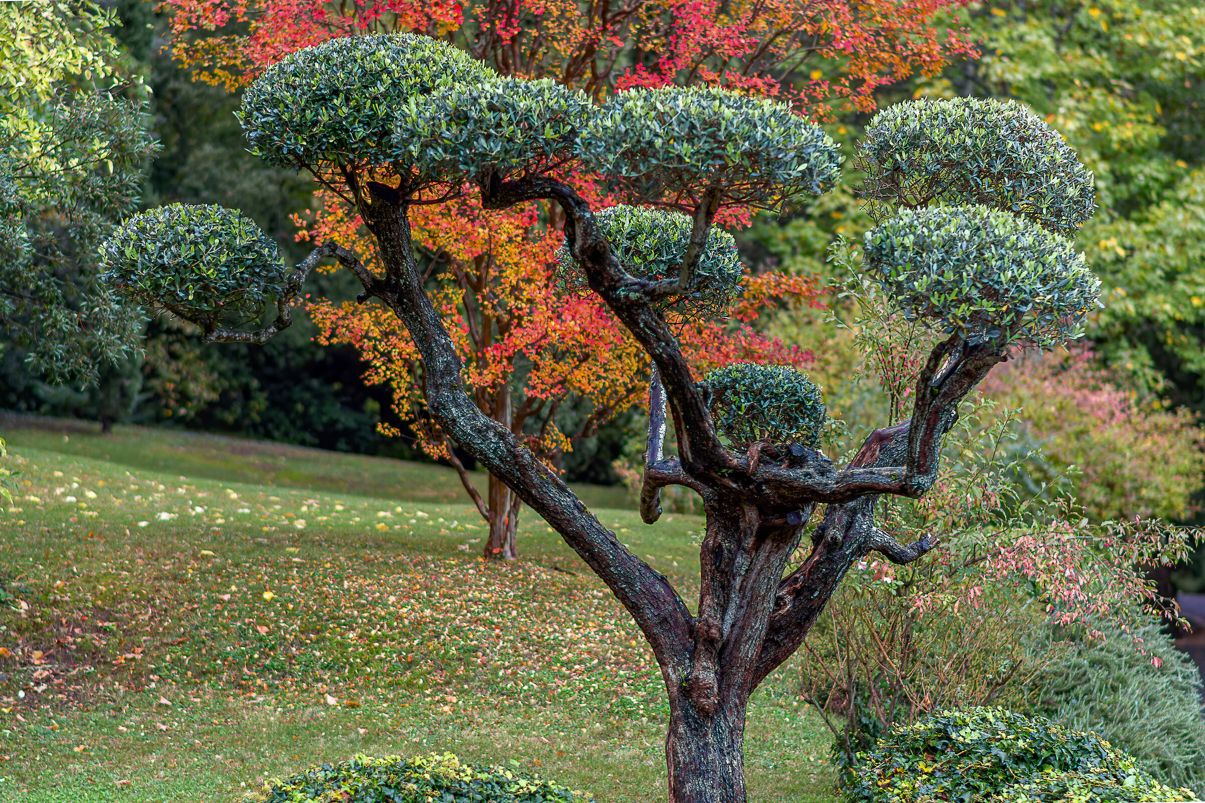 autunno 2020 sotto la pioggia