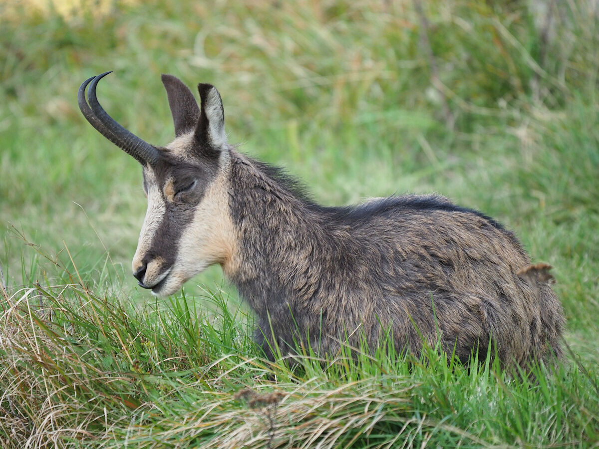 Approach in silence that I'm dreaming!!!