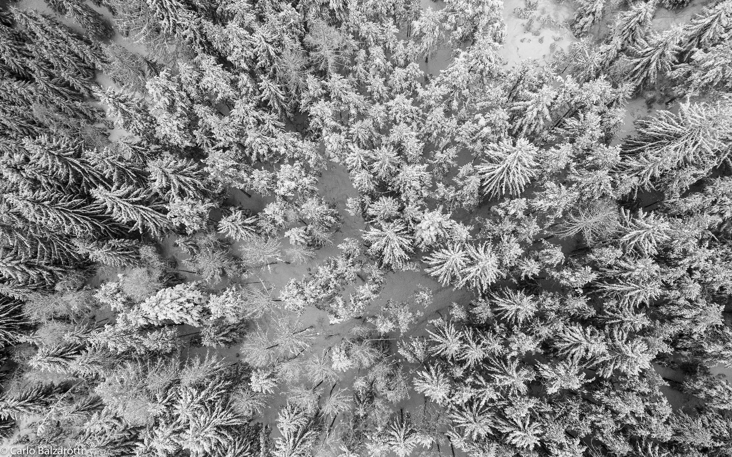 Nevicata ottobrina