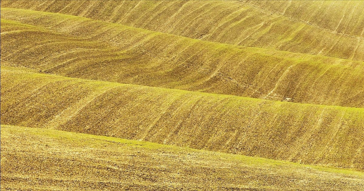 "Colline senesi......."
