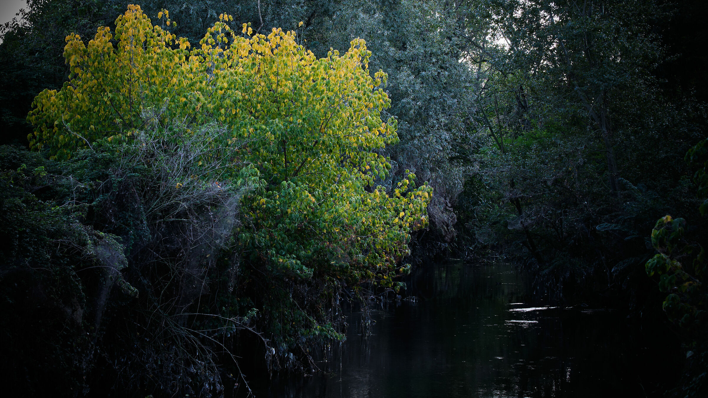 A light through the darkness