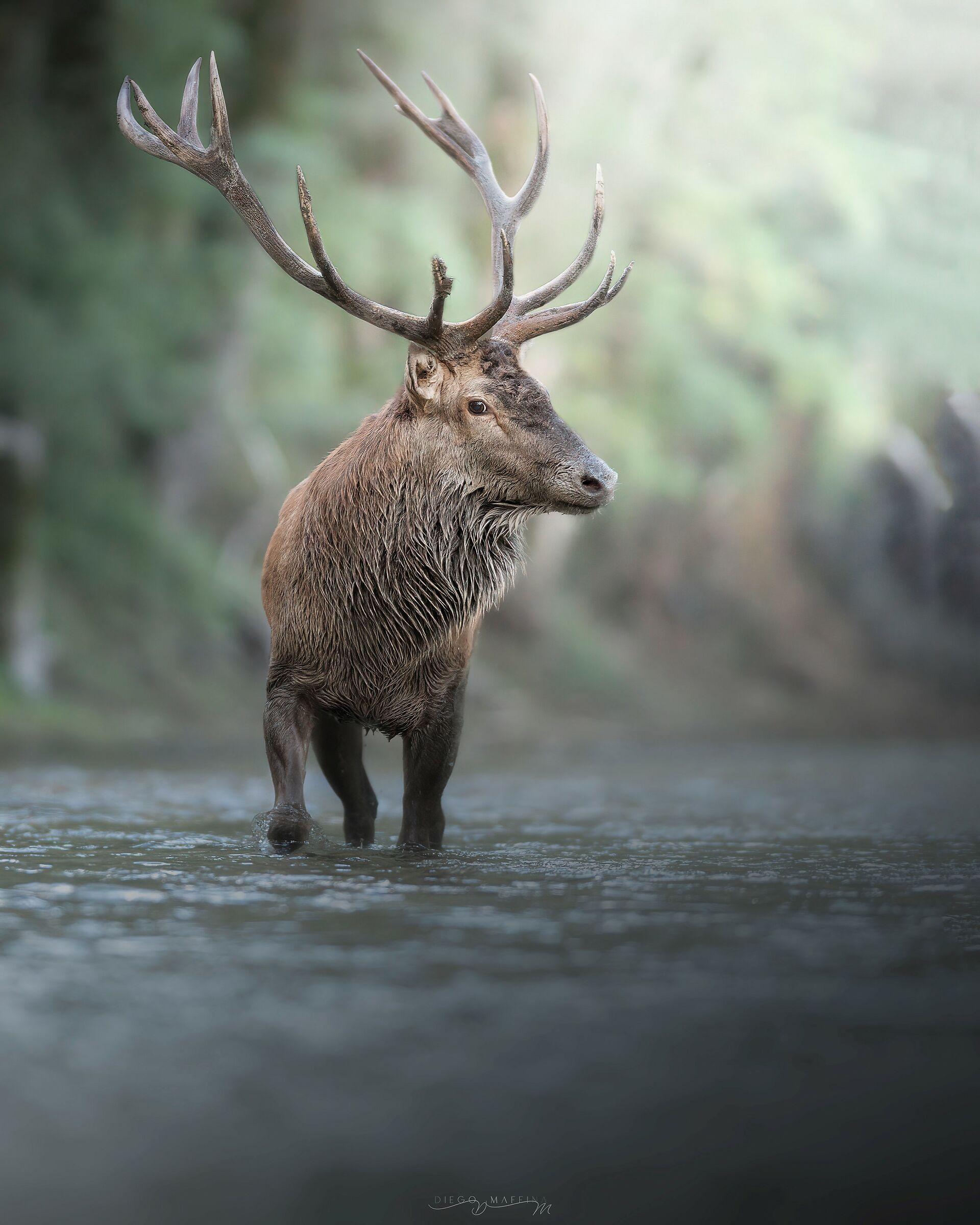 Walking in the River