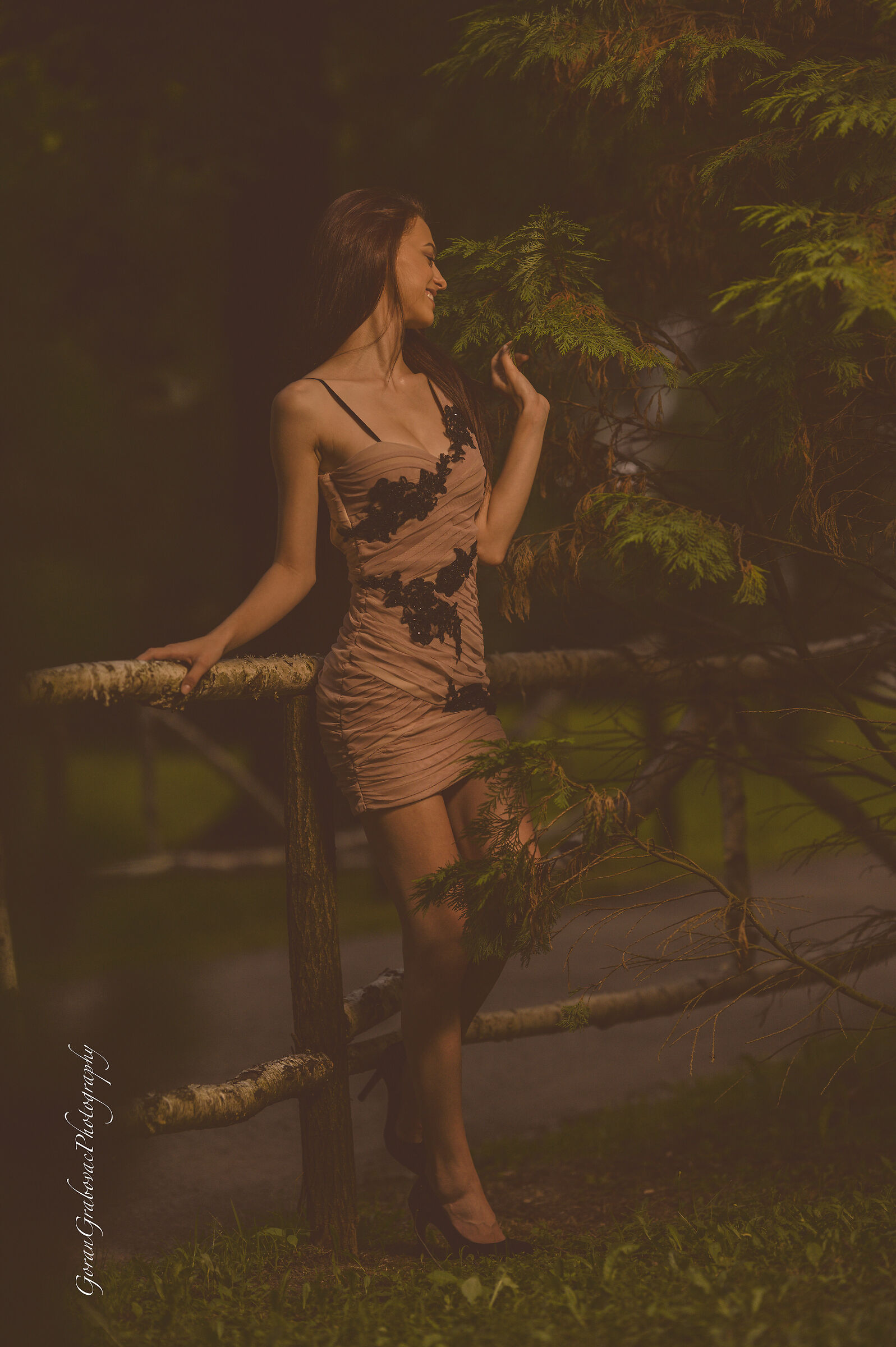 Untitled Photo