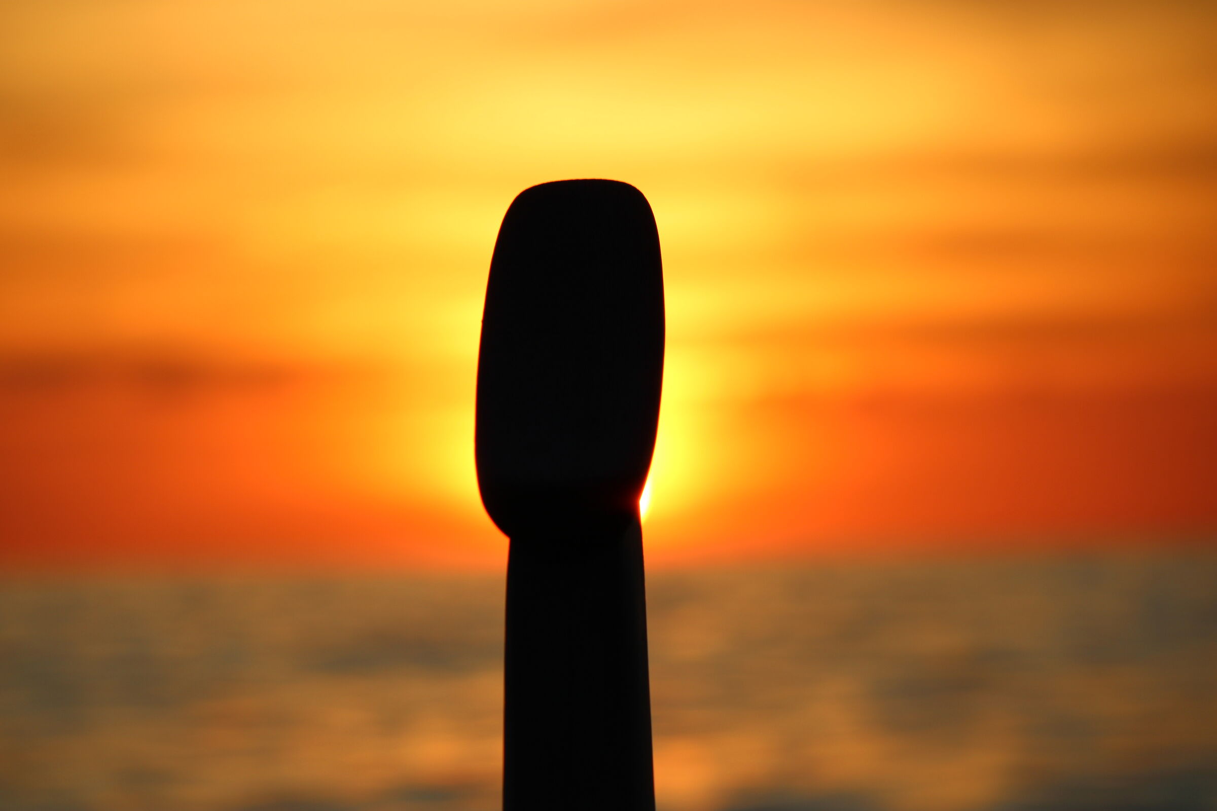 The pernaccia of a Ligurian goiter that eclipses