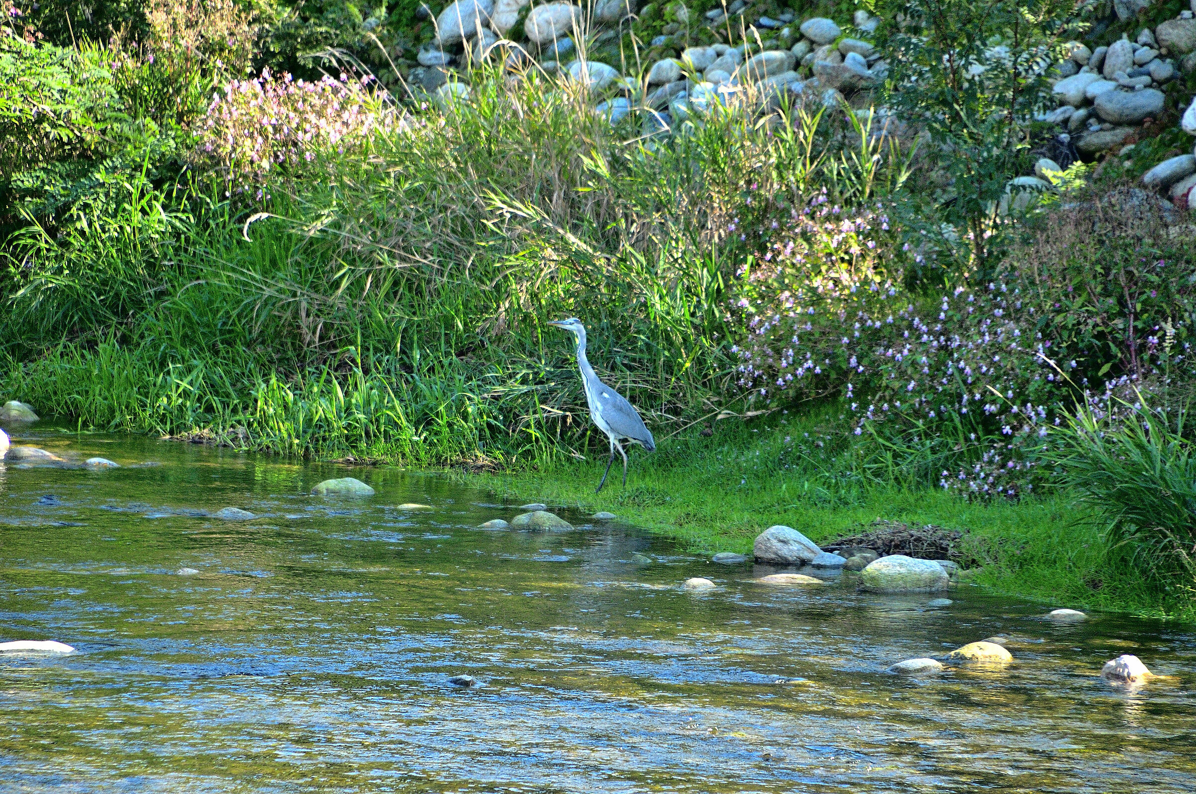 Aspettando il momento giusto...!!!!