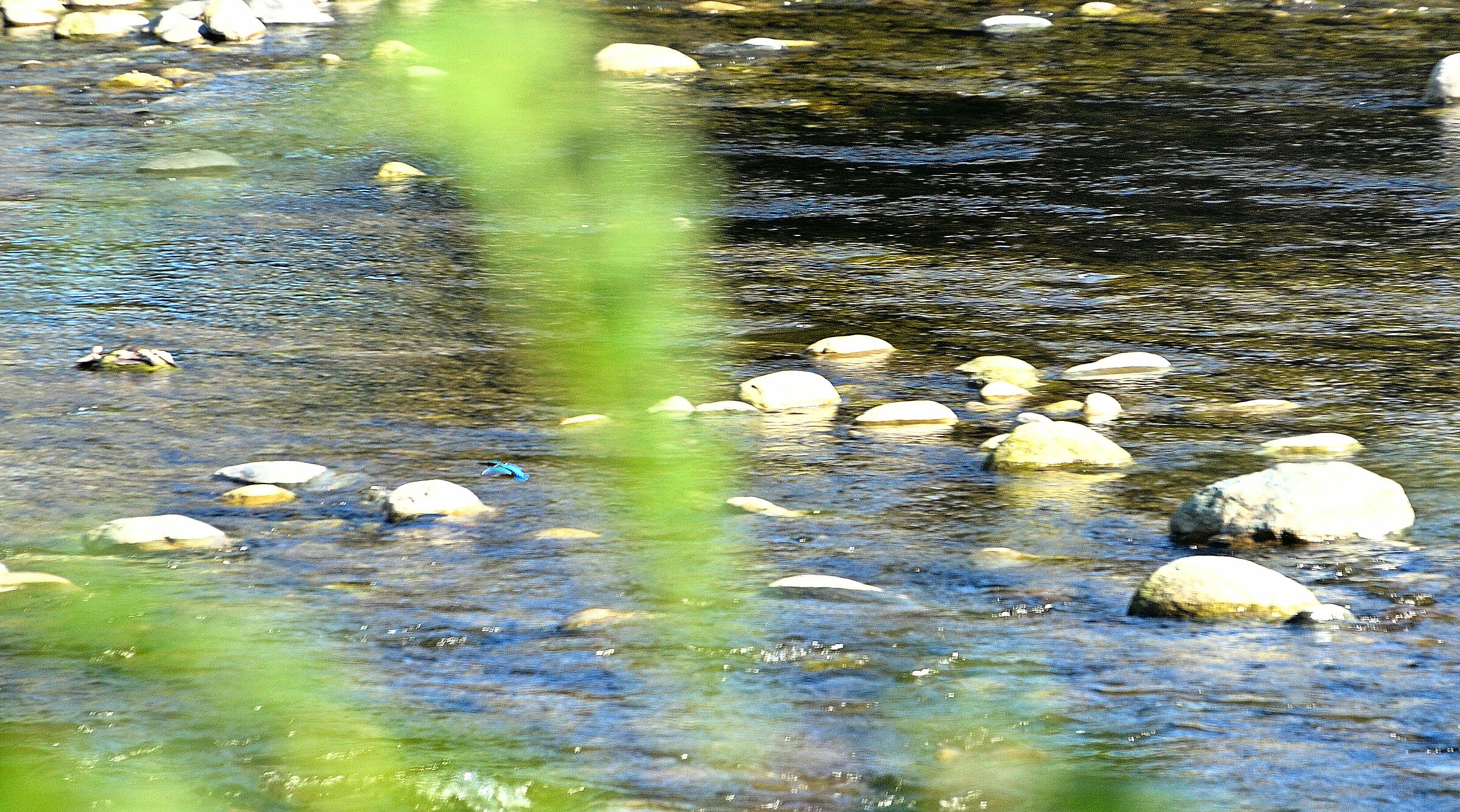 Un Fulmine Azzurro...!!!!