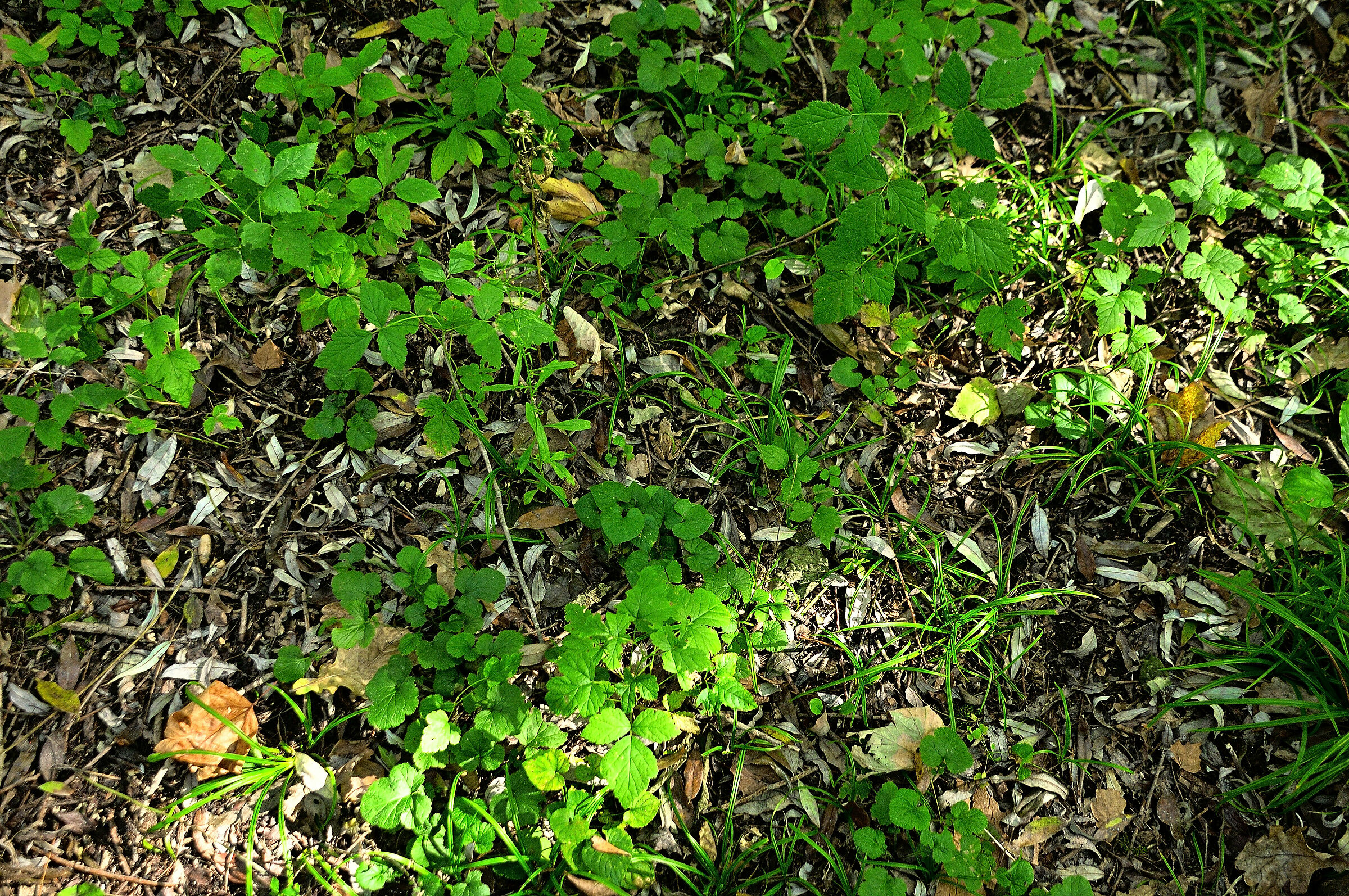 The Intruder... !!!!