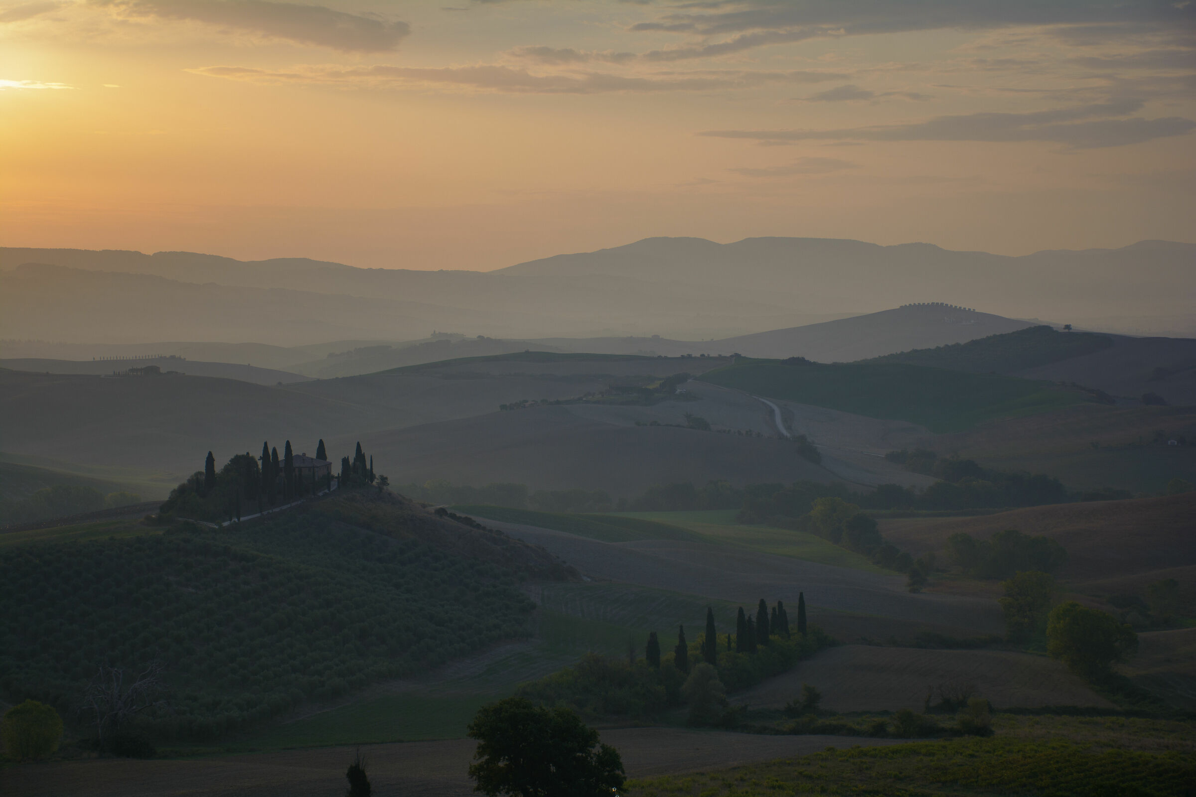 Val d'Orcia alba at the belvedere beech