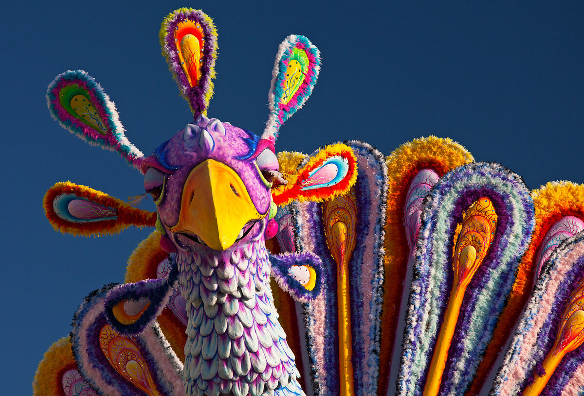 Phoenix, the myth of the phoenix