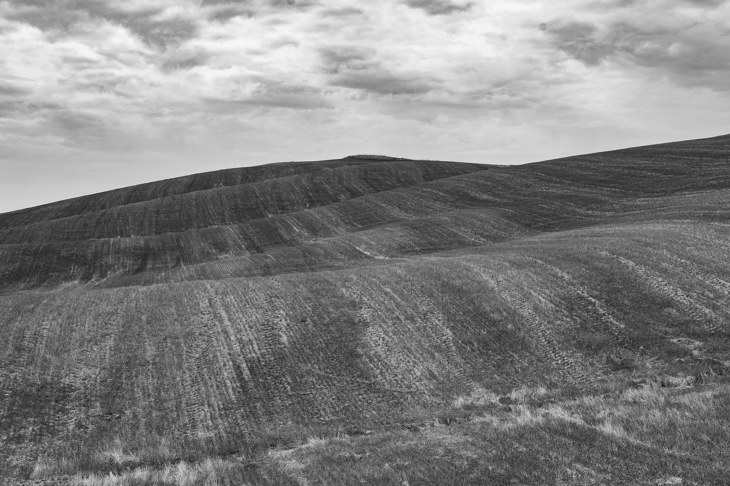 Val d'Orcia b/n