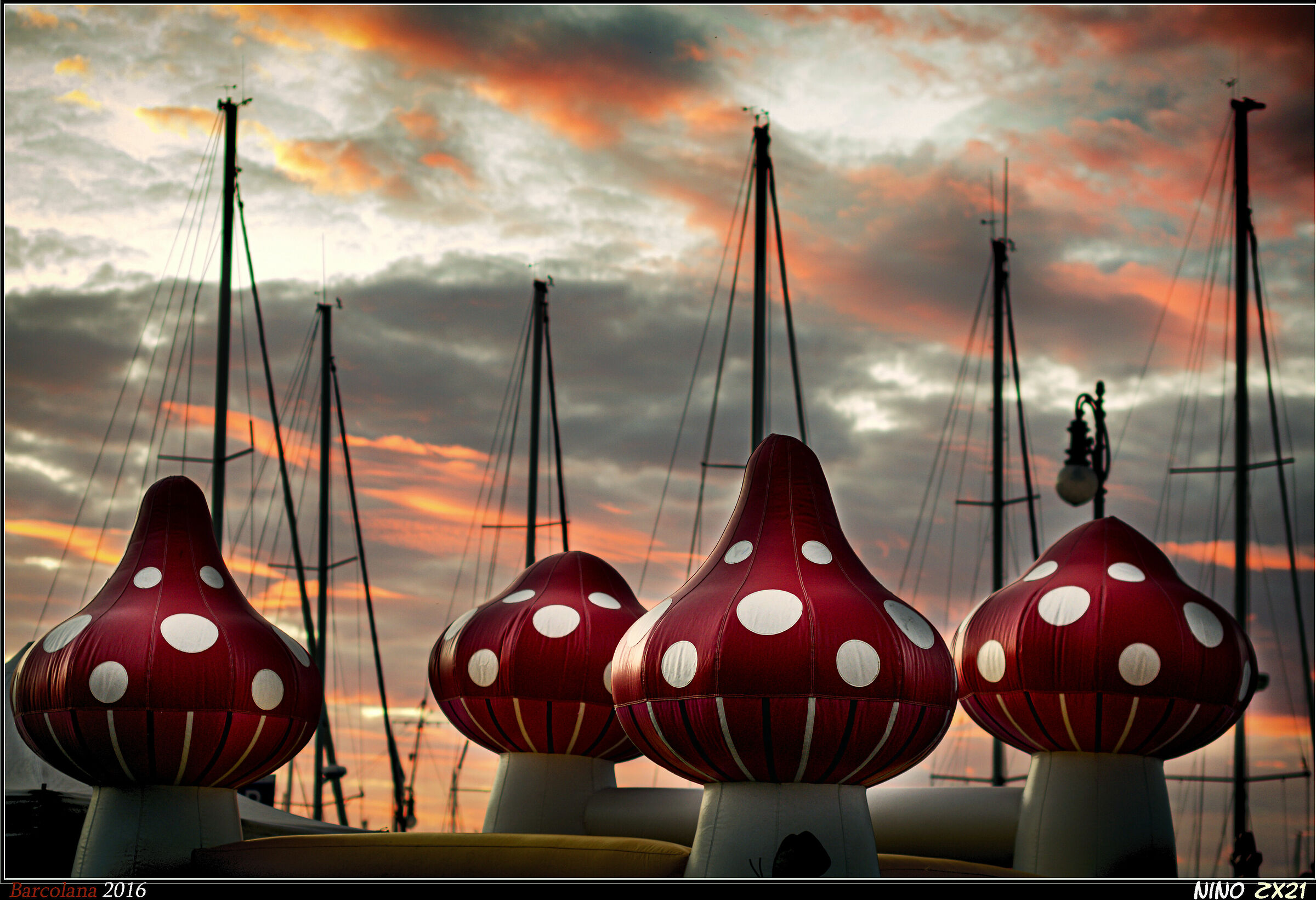 Barcolana .... Vele come funghi