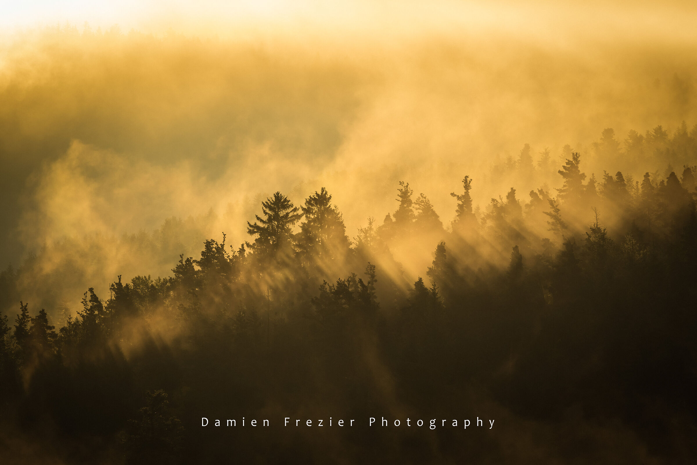 La caduta sta arrivando