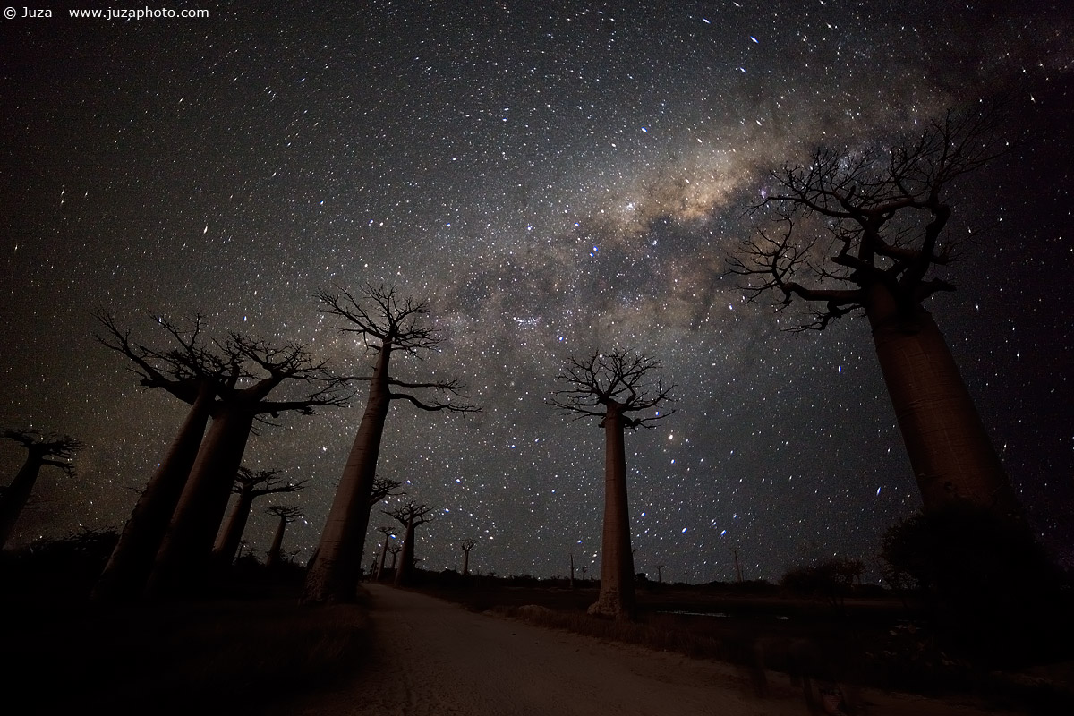 Via Lattea e Baobab (montaggio di due foto), 010406