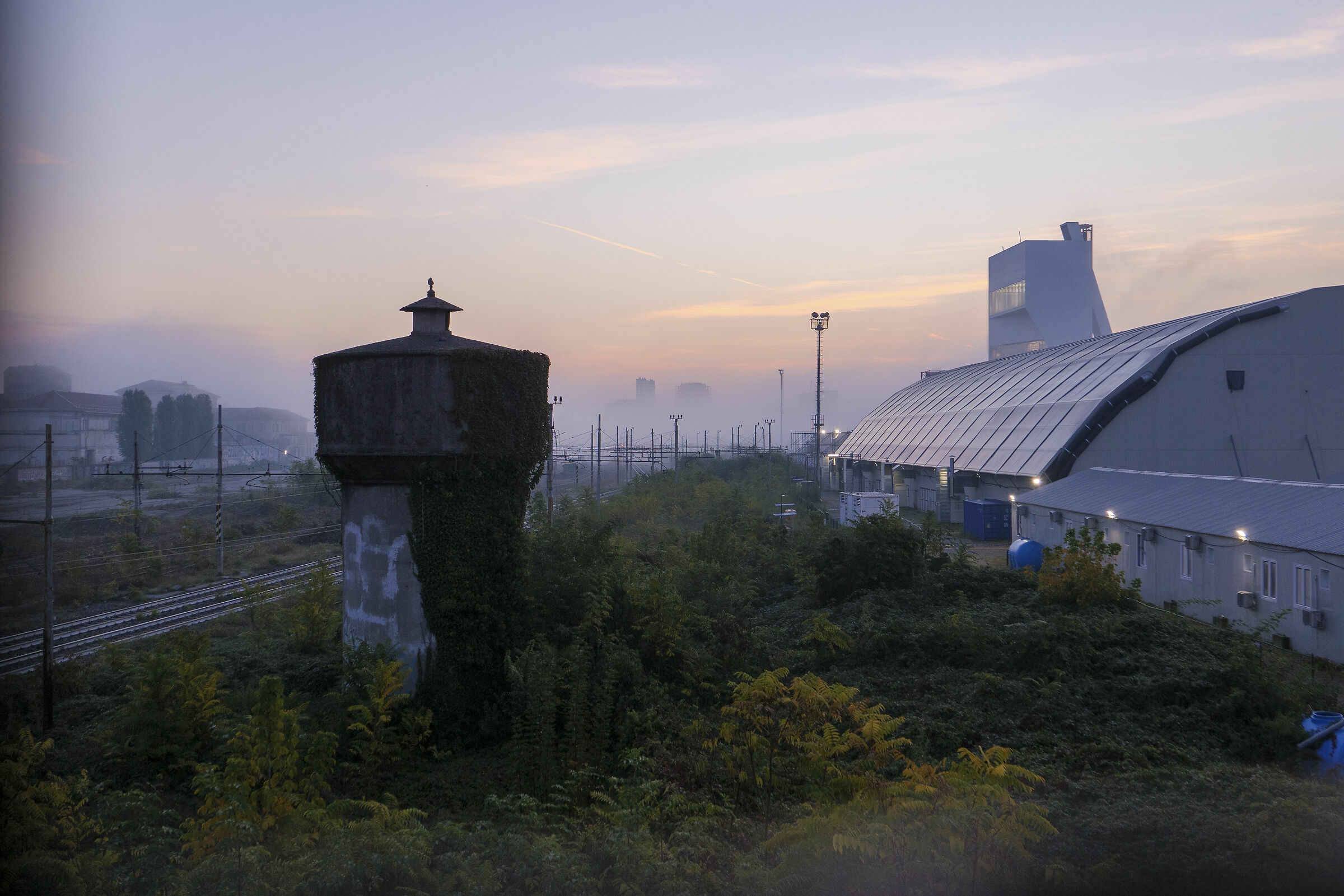 Prime luci con nebbia