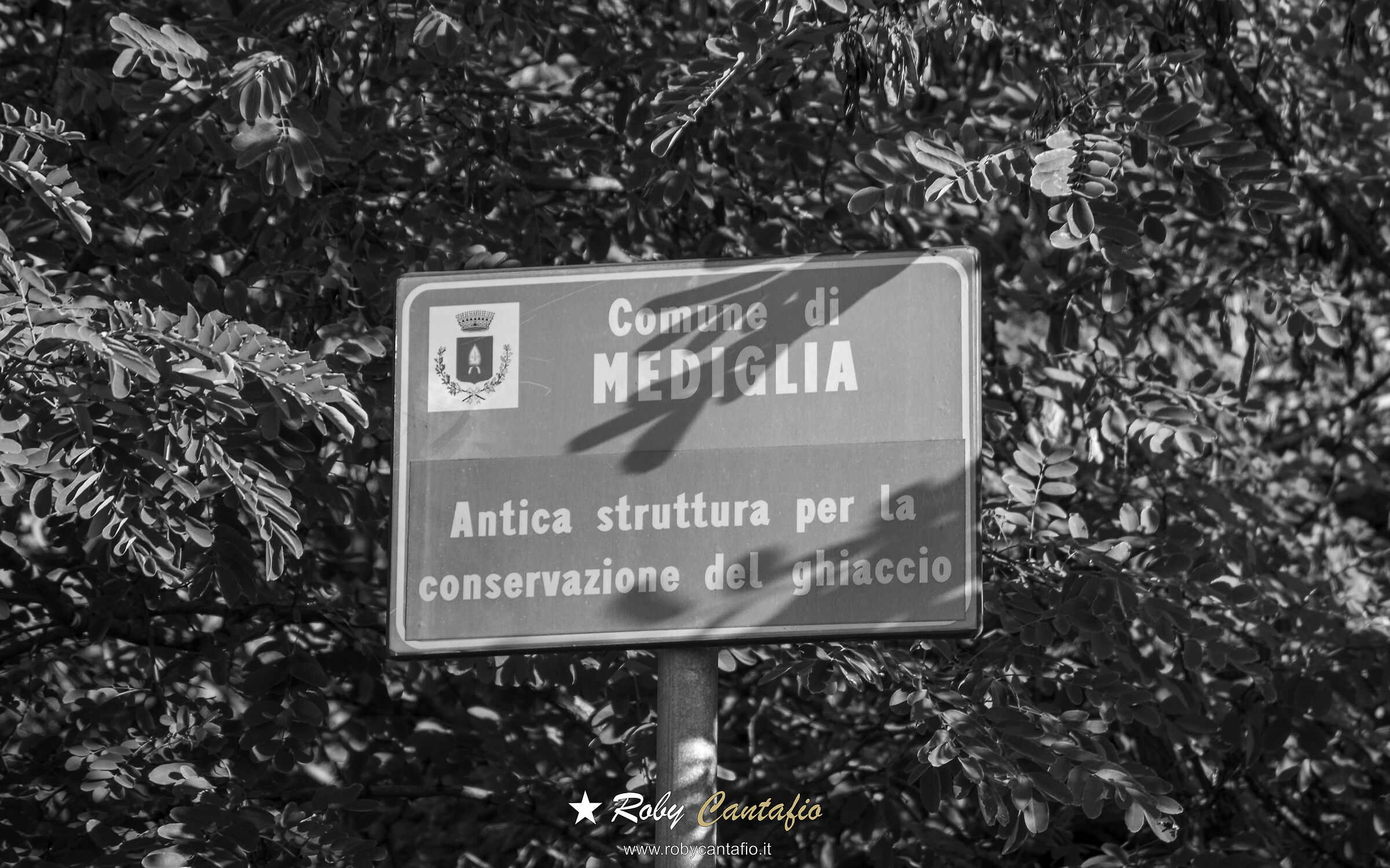 South Milan 2