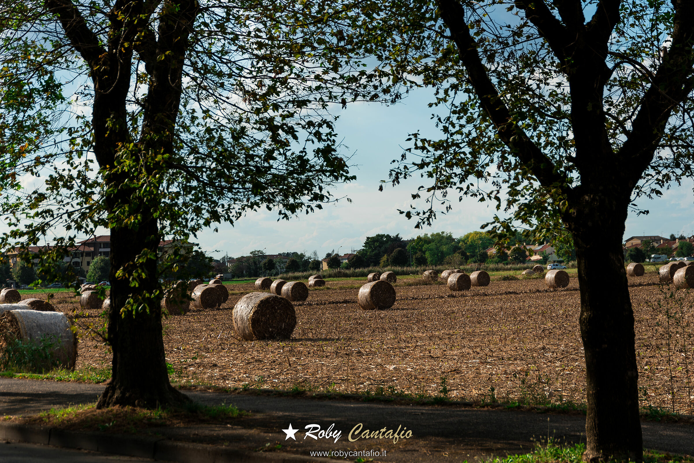 South Milan 5