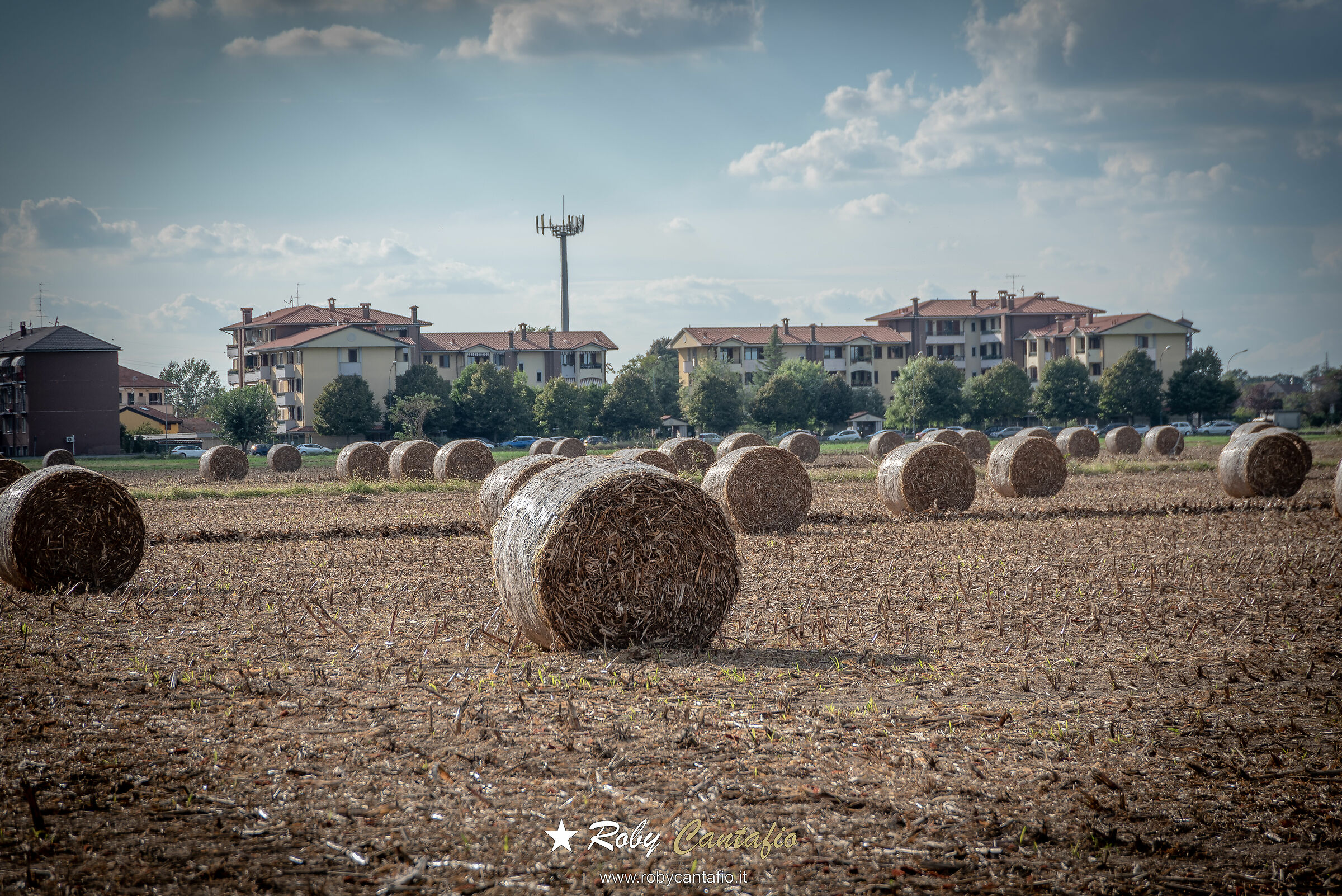 South Milan 7