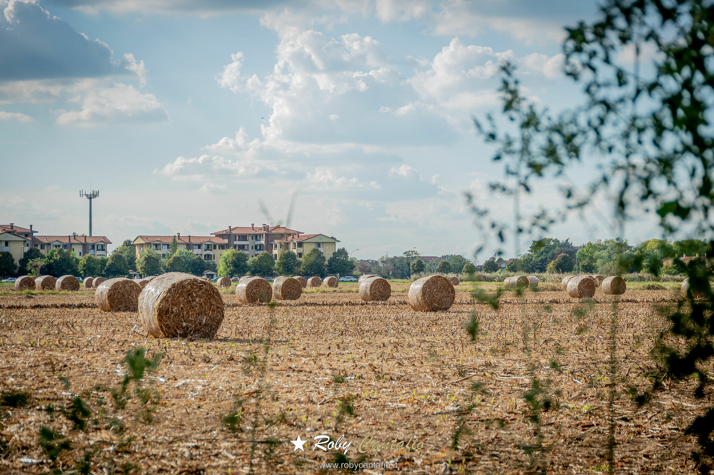 South Milan 10