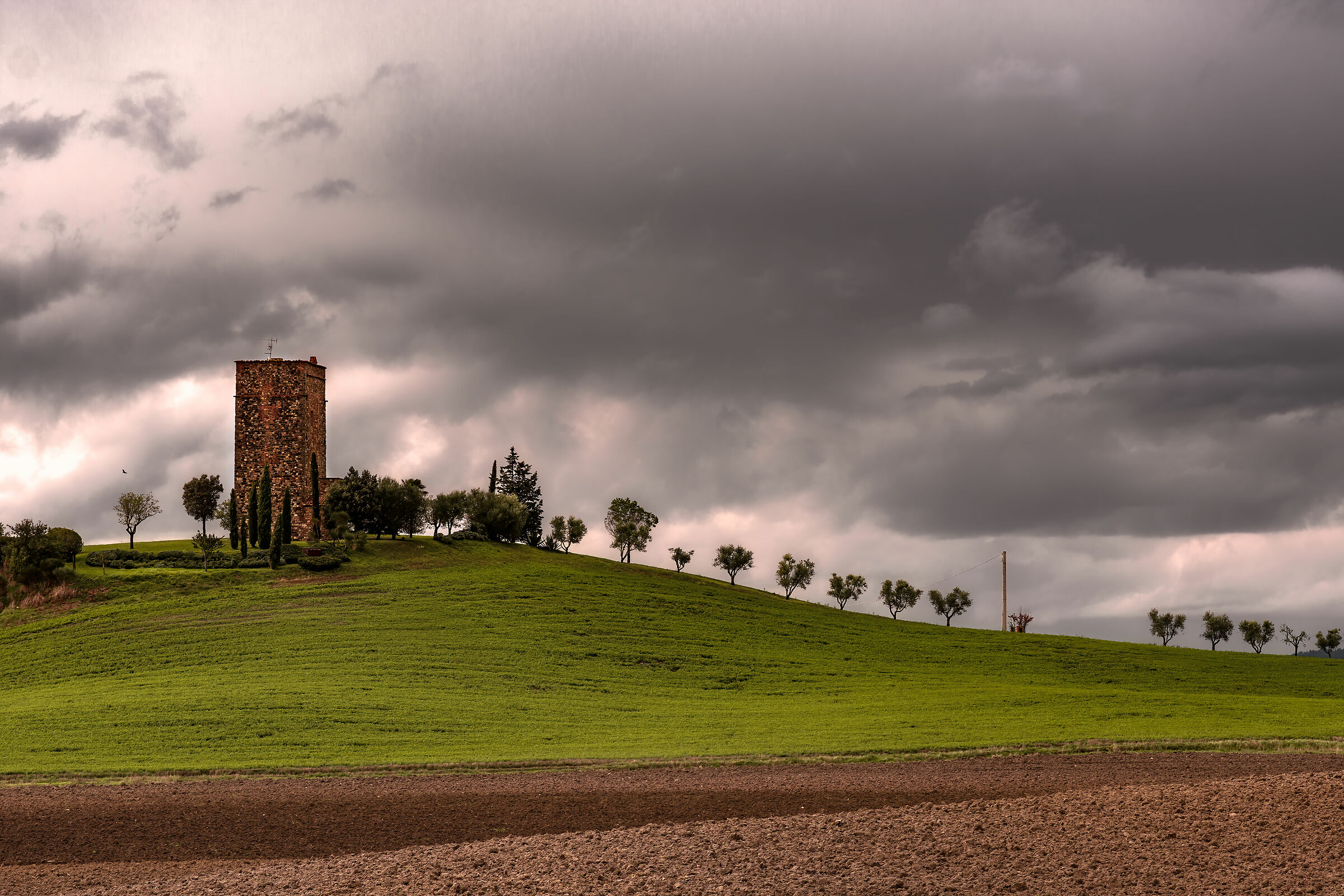 torre tarugi,pienza(si) campagne dell'orcia alta