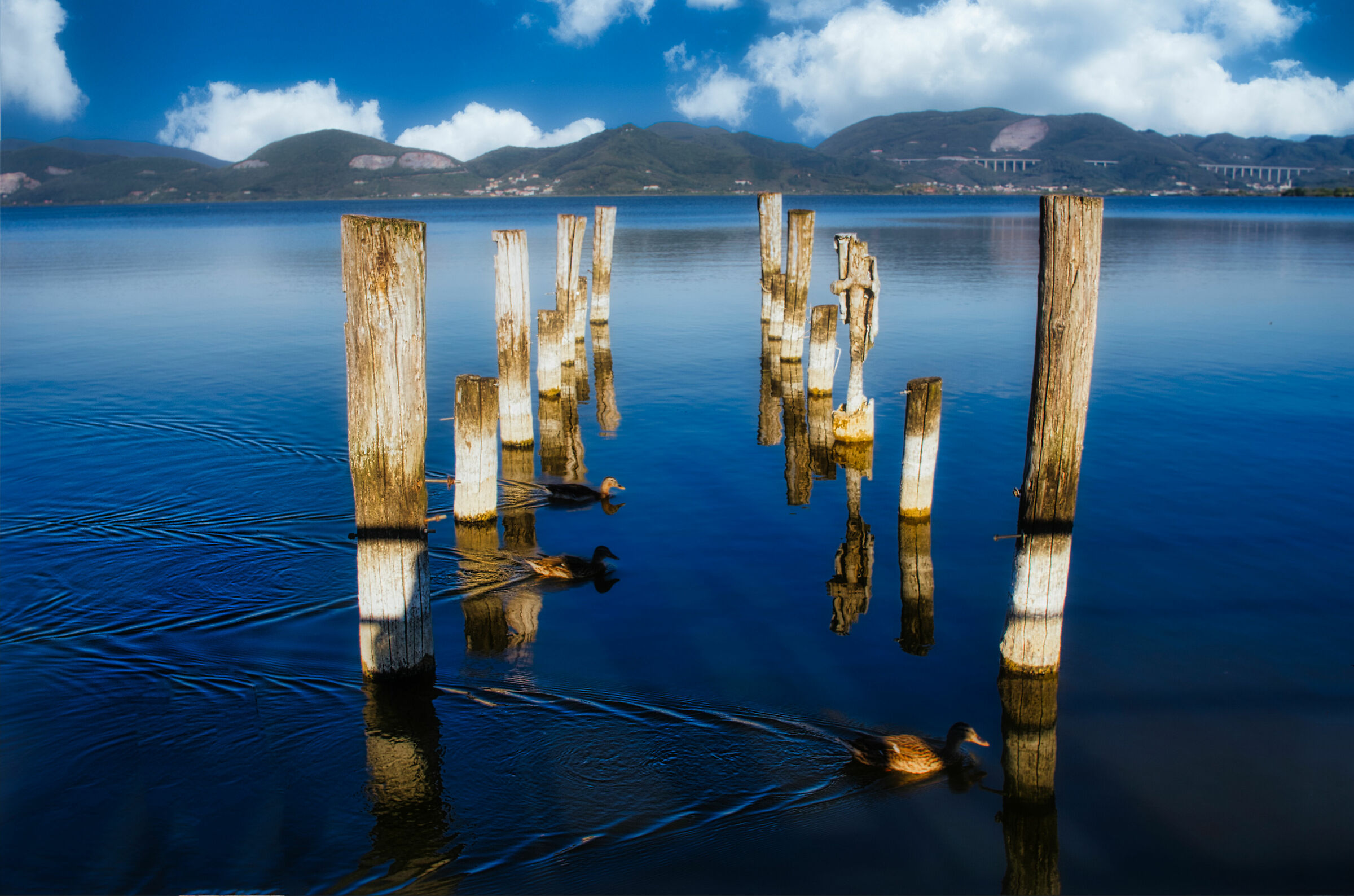 Lago di Massaciuccoli