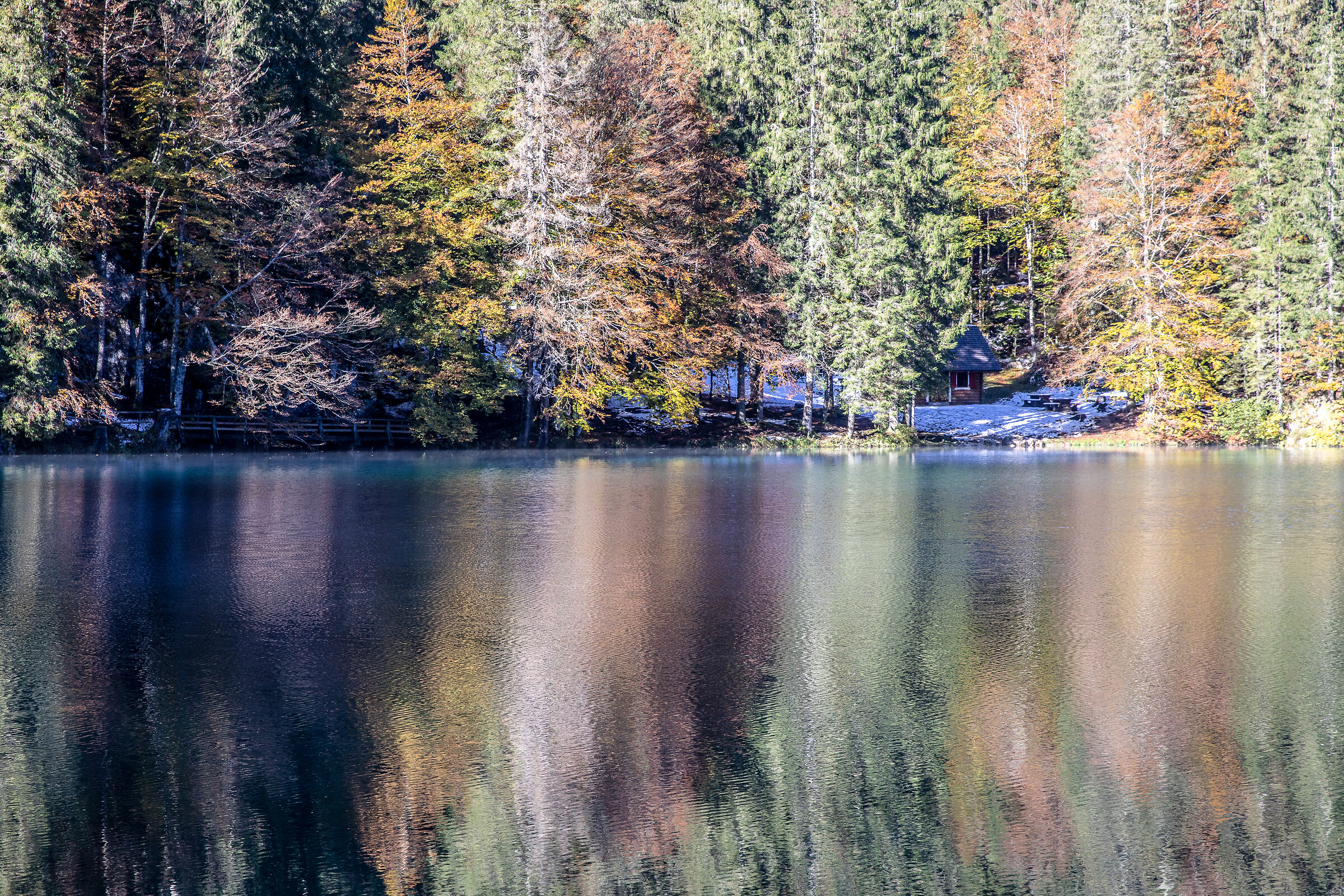 Sinfonia d'autunno 1