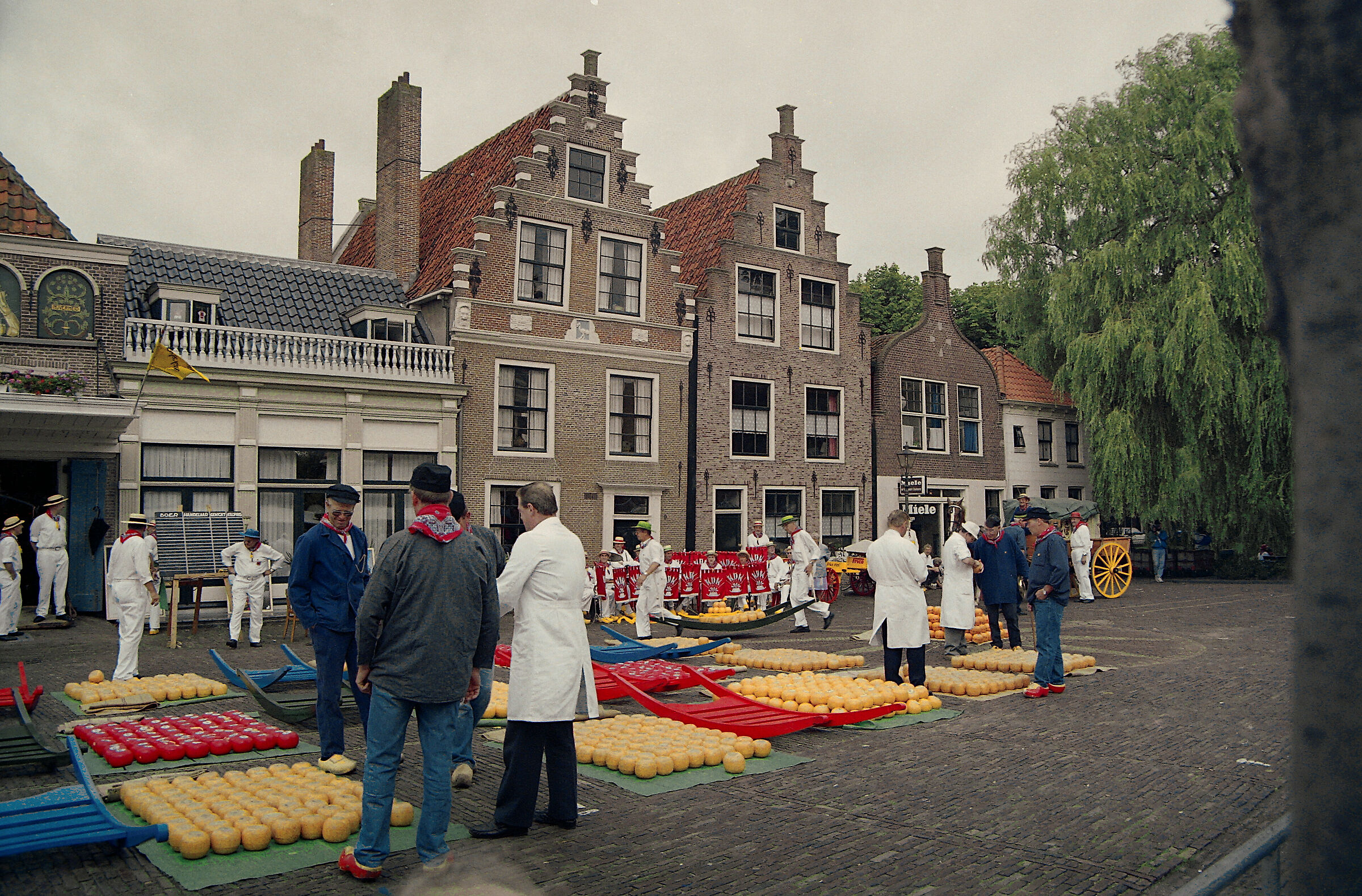edam