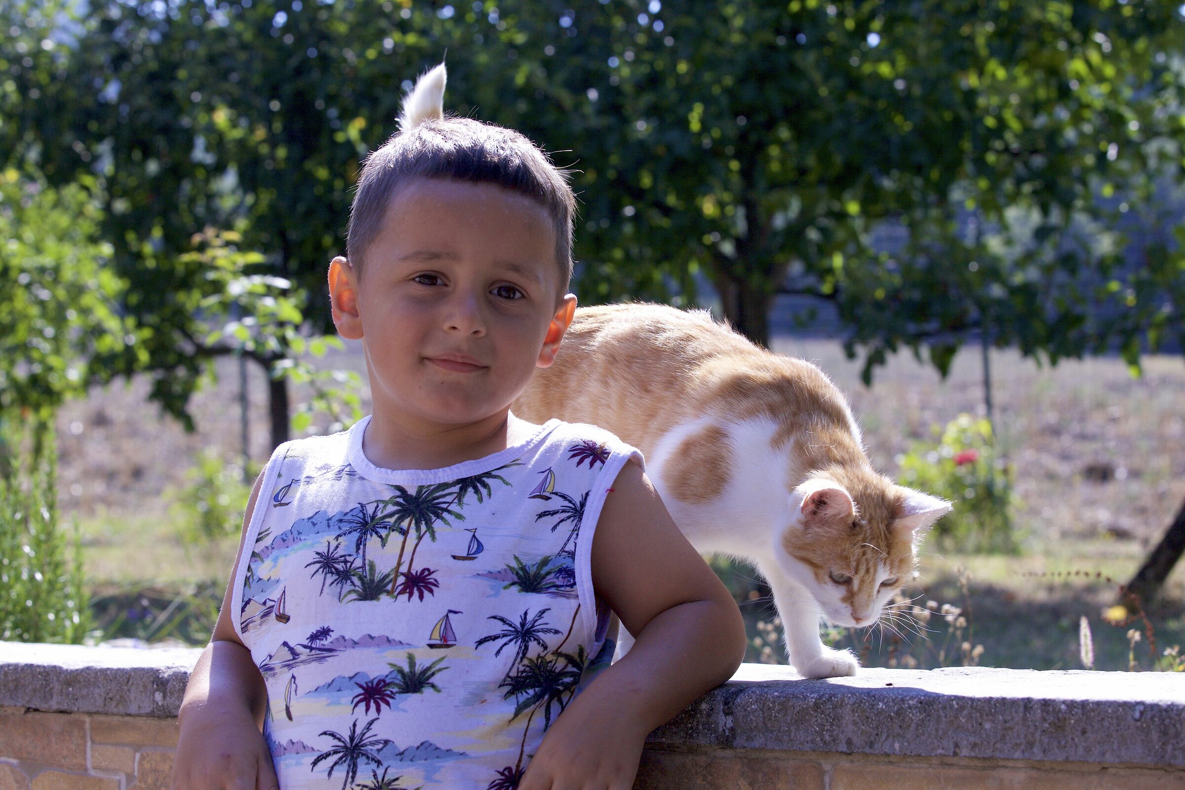 Augusto, penna di gatto.