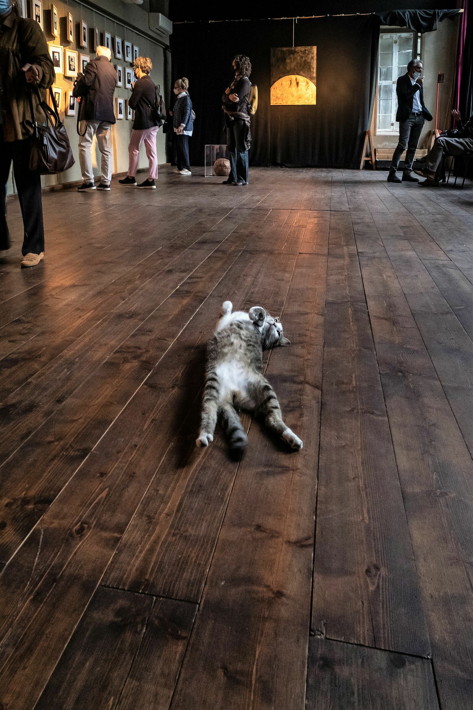 vediamoci una mostra