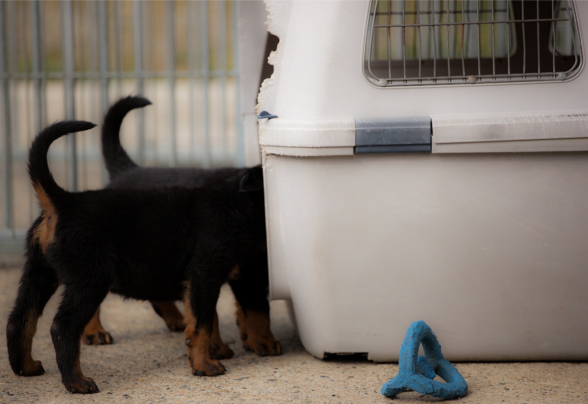 you are looking for?