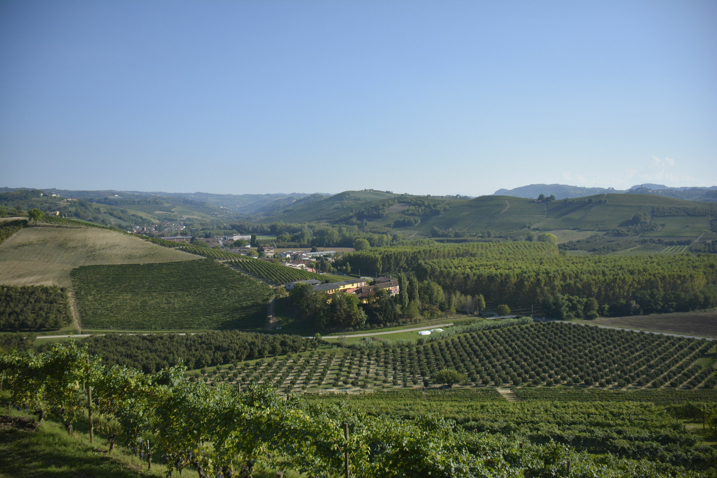 Langhe e vigneti