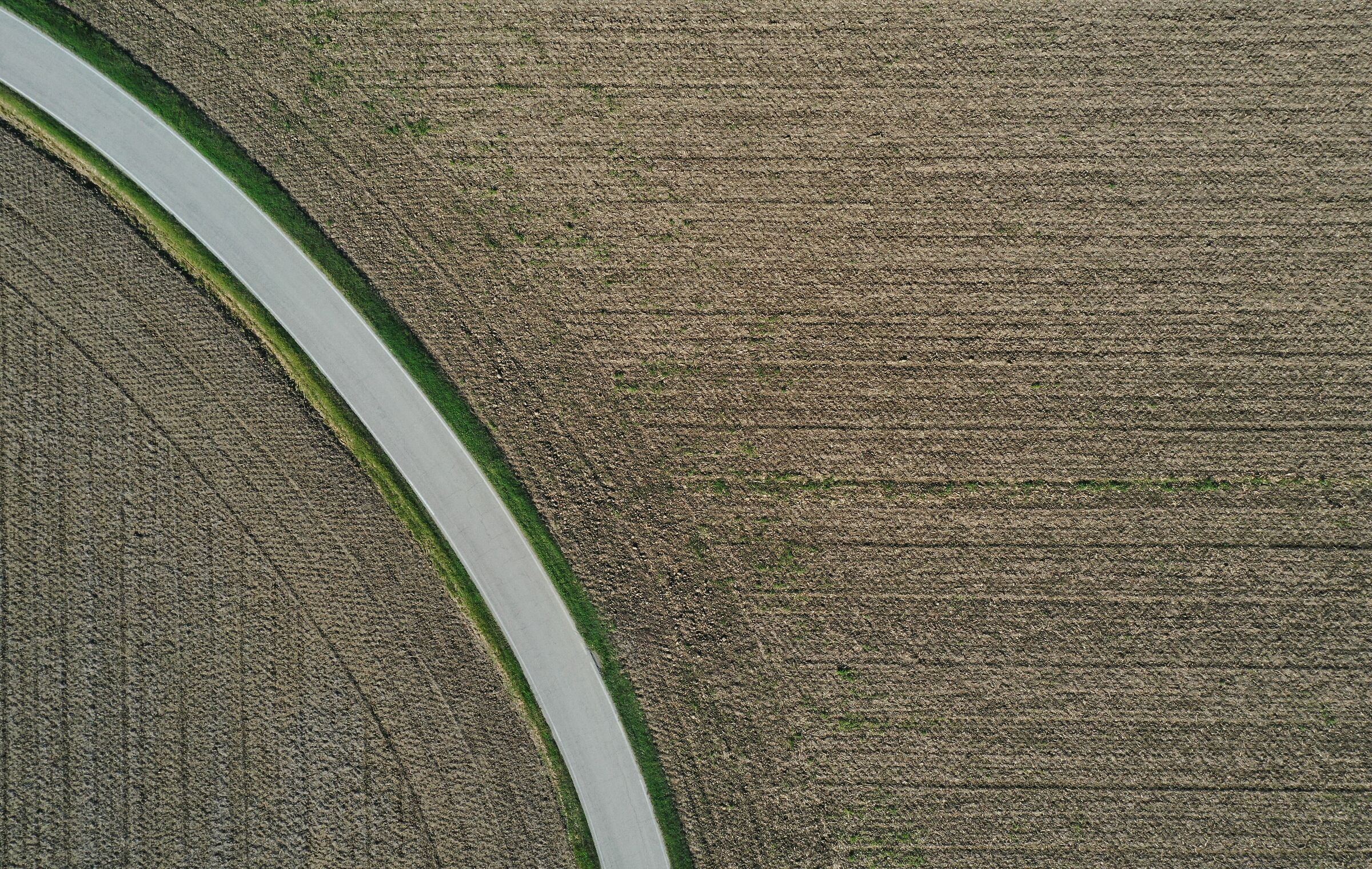 Bow from above
