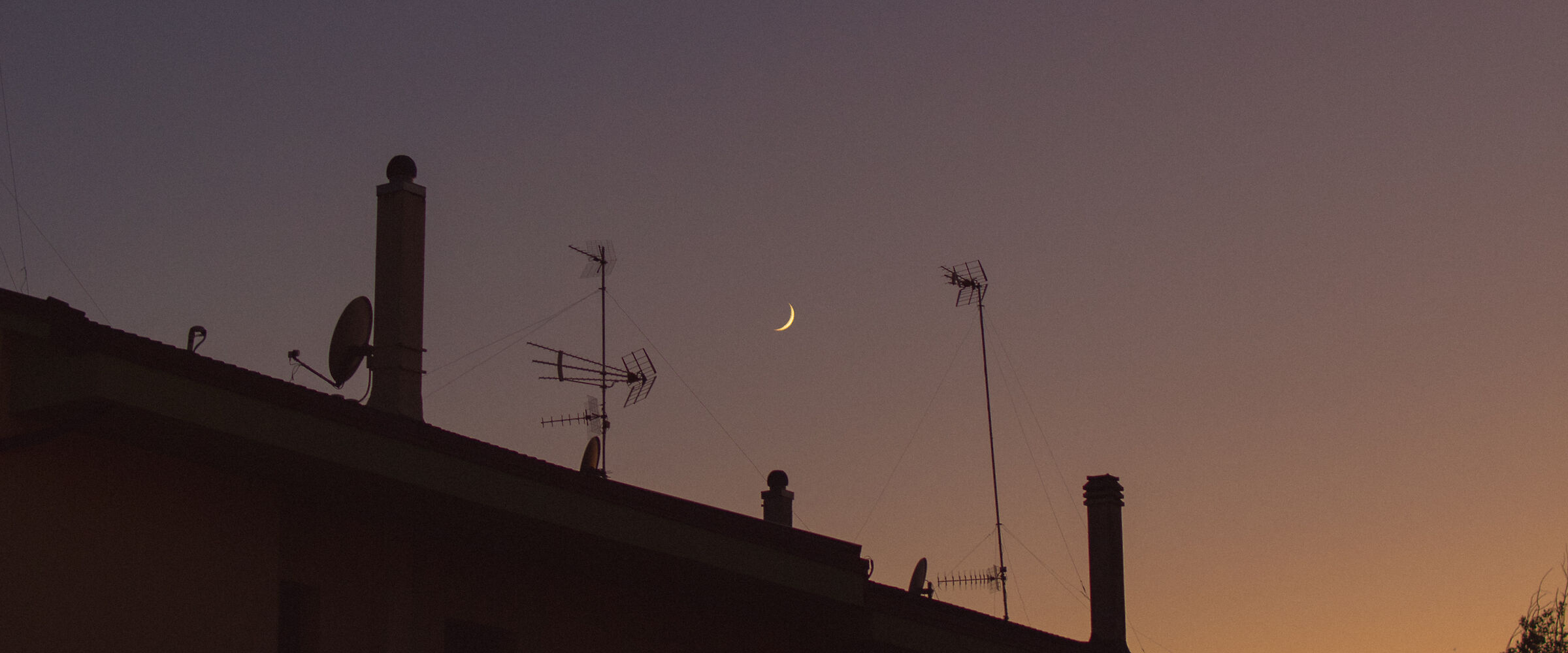 Purple hour