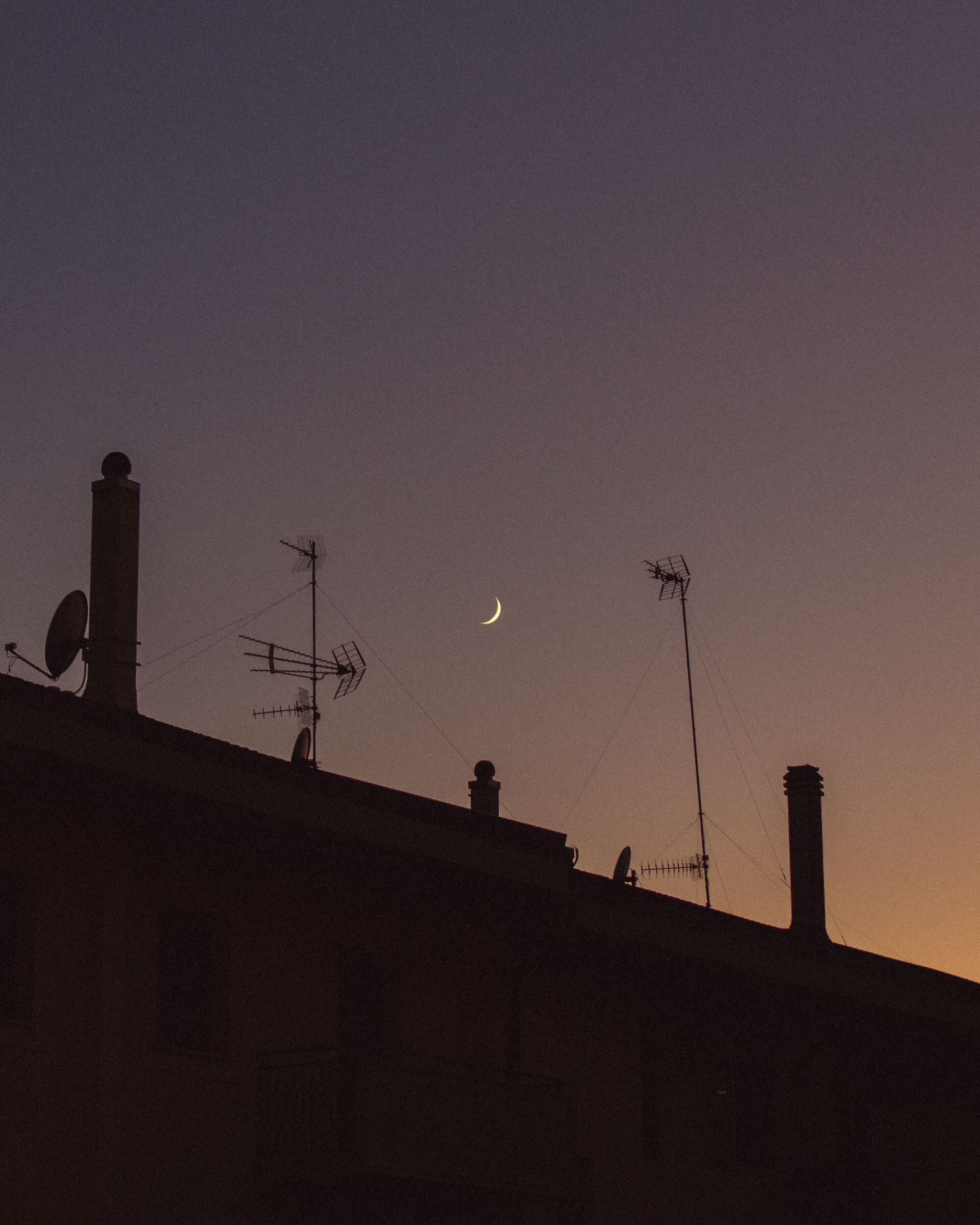 Purple Hour