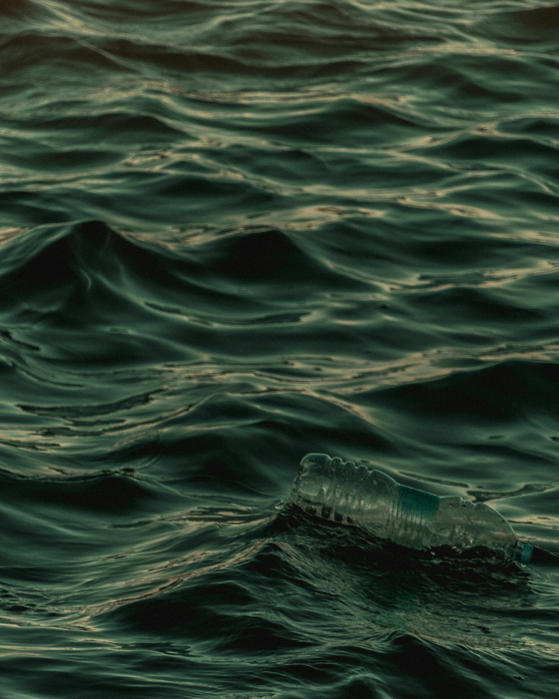 Wasted, 2000