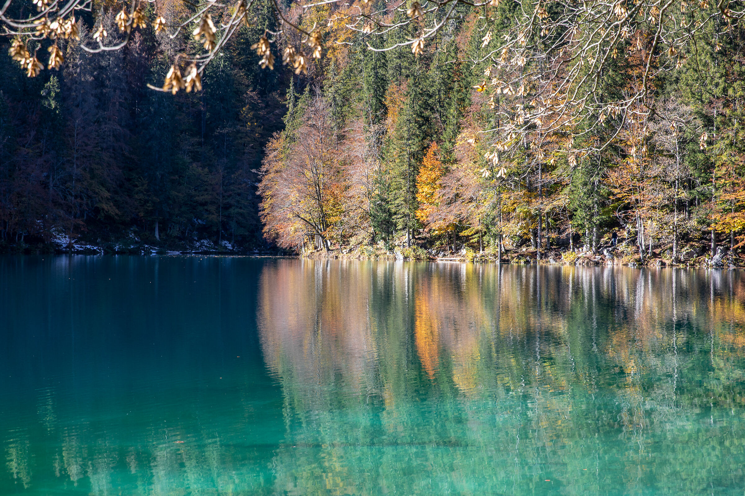 Sinfonia d'autunno 2