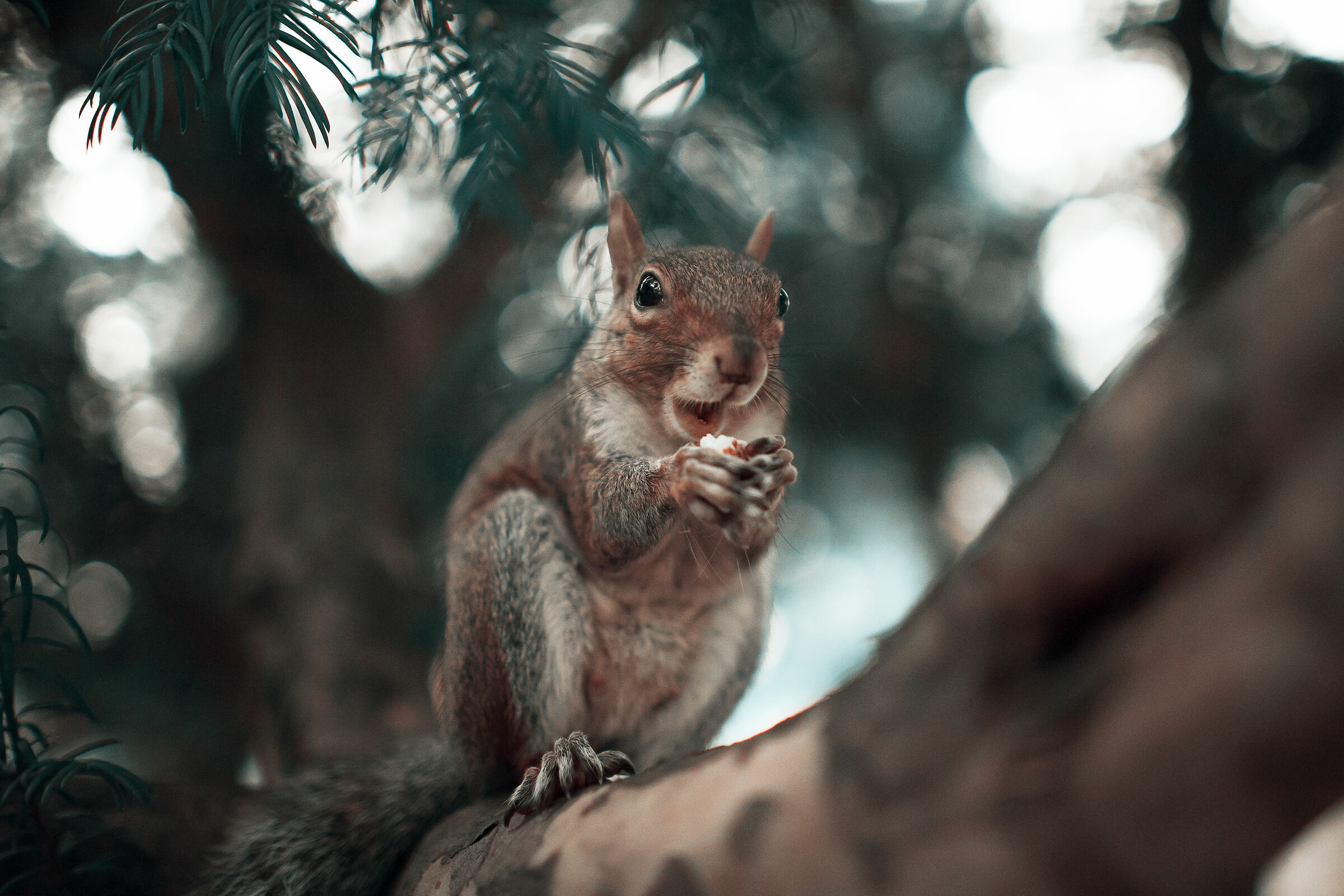 Hey, what's going on, man?