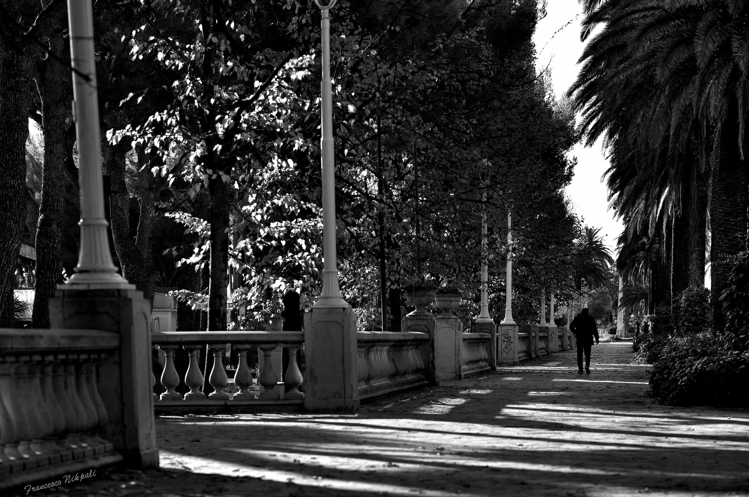 Walking to the sea