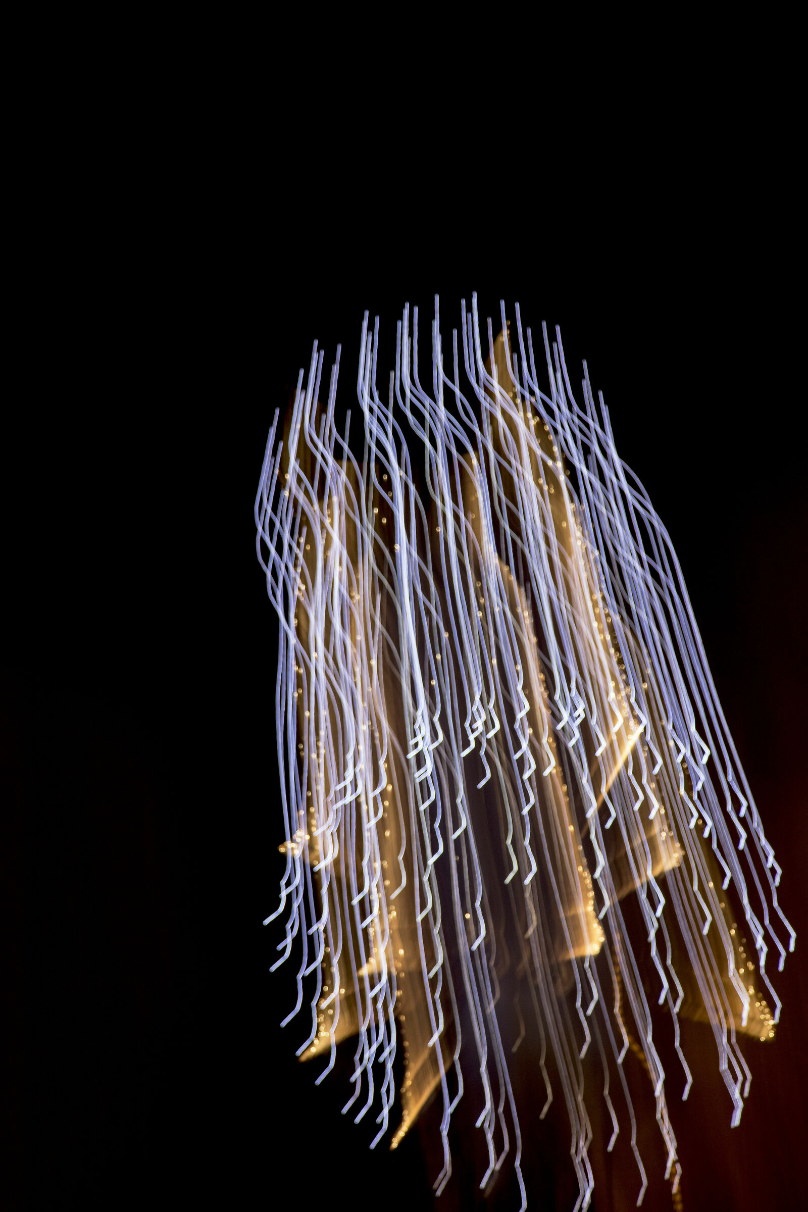 fire jellyfish