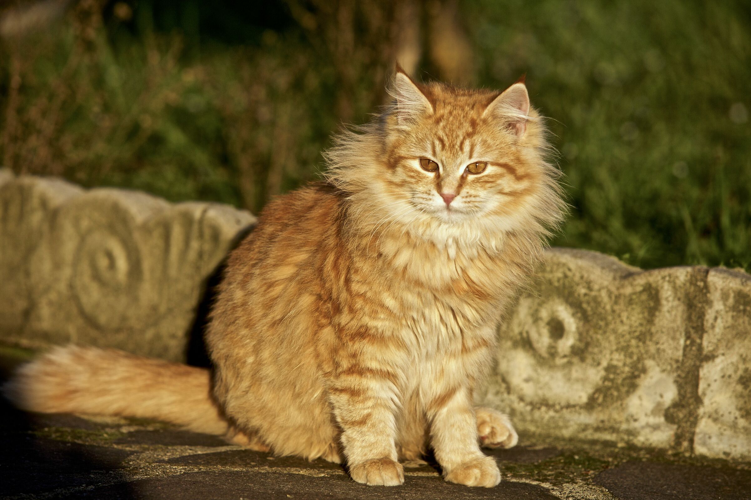 The colors of autumn.