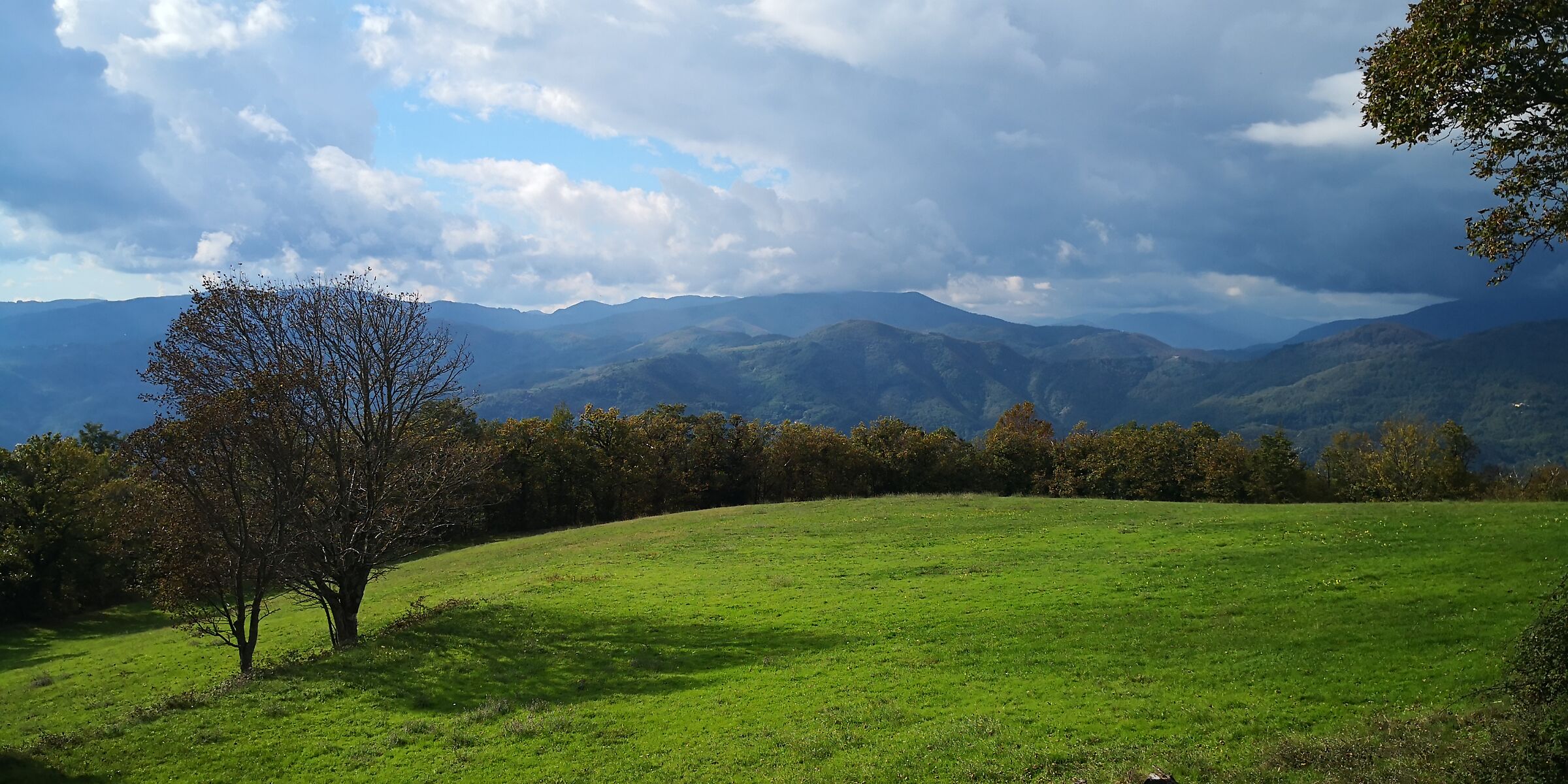 Is it going to rain?