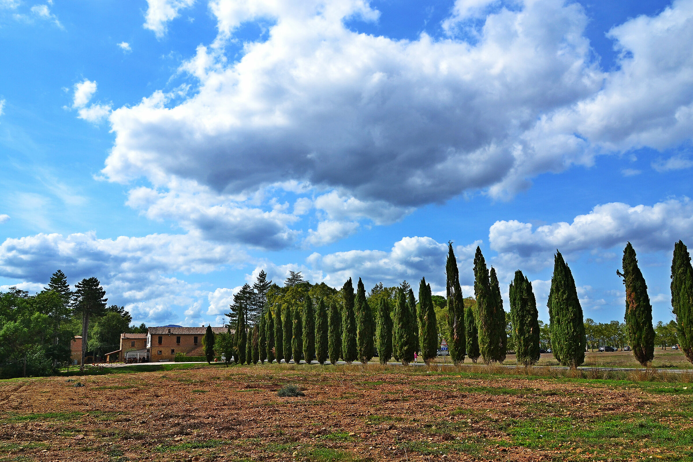 Tuscan landscape