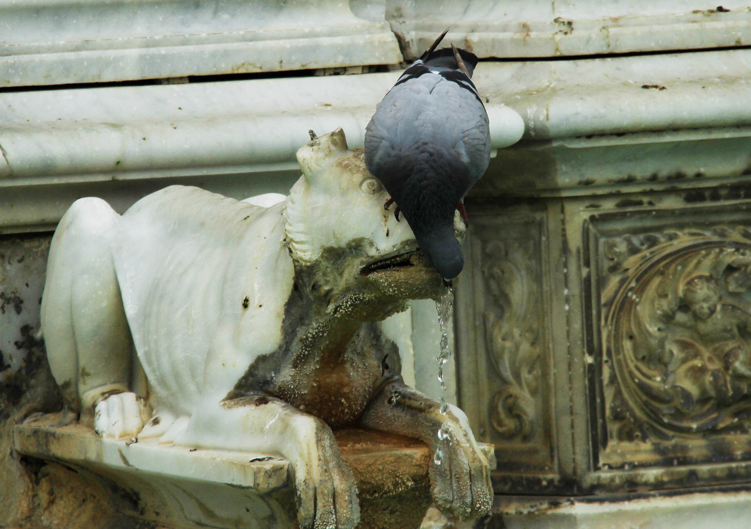 Fonte Serena a Siena