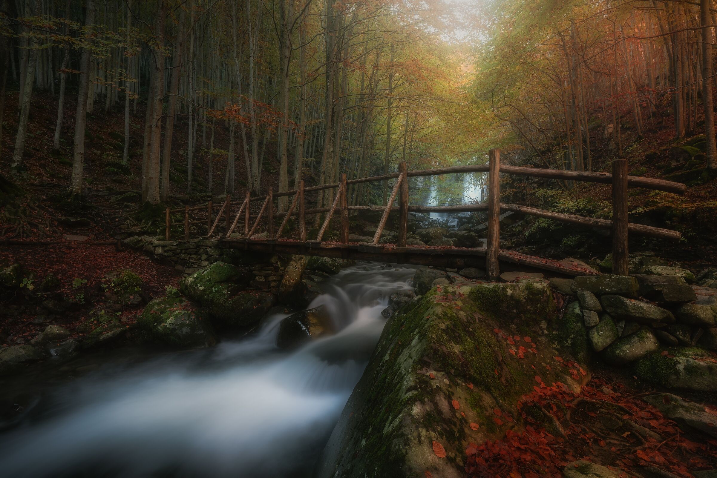 Going through autumn