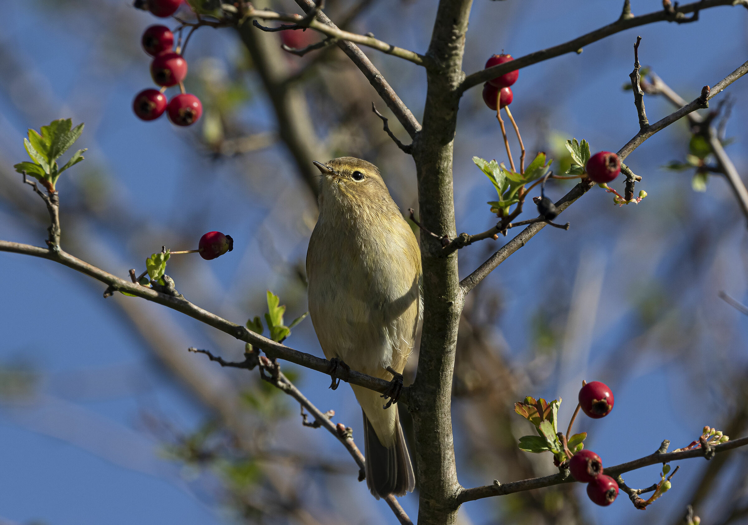 From top to bottom...