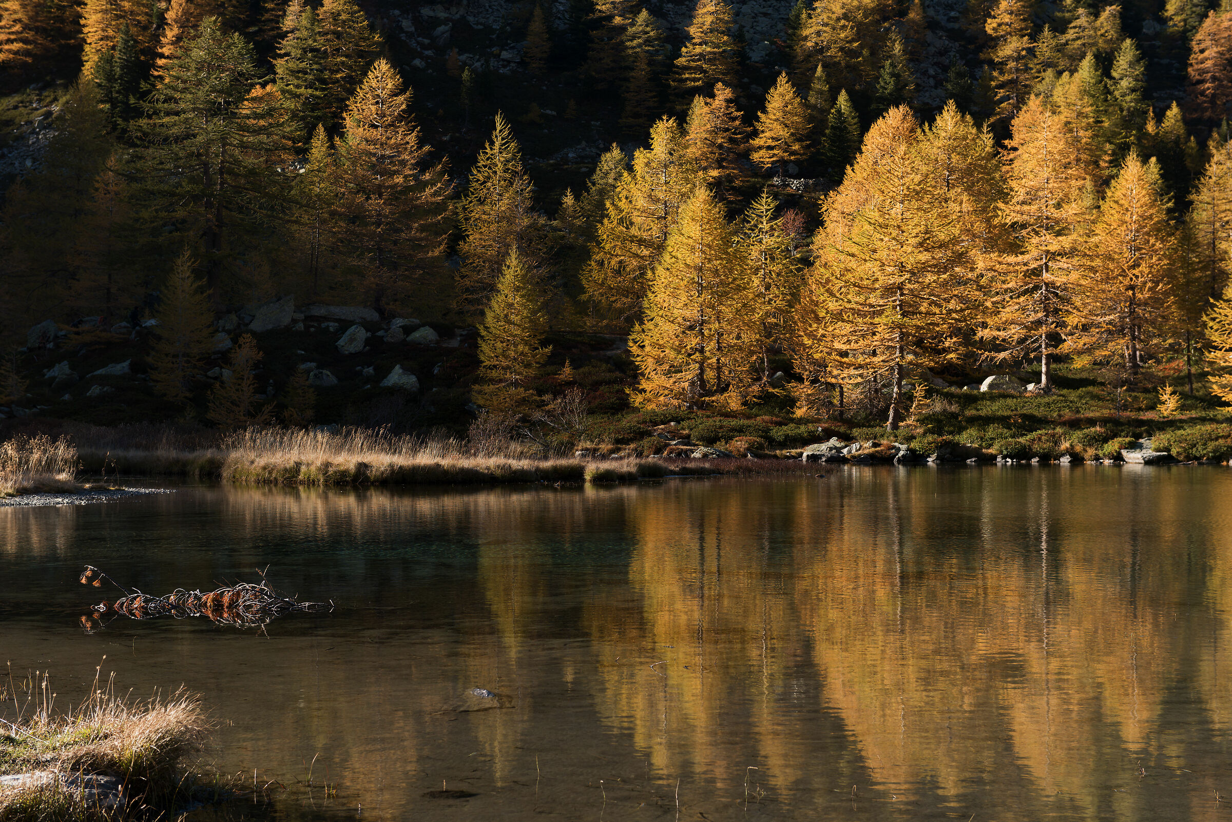 Light games at Lake Arpy