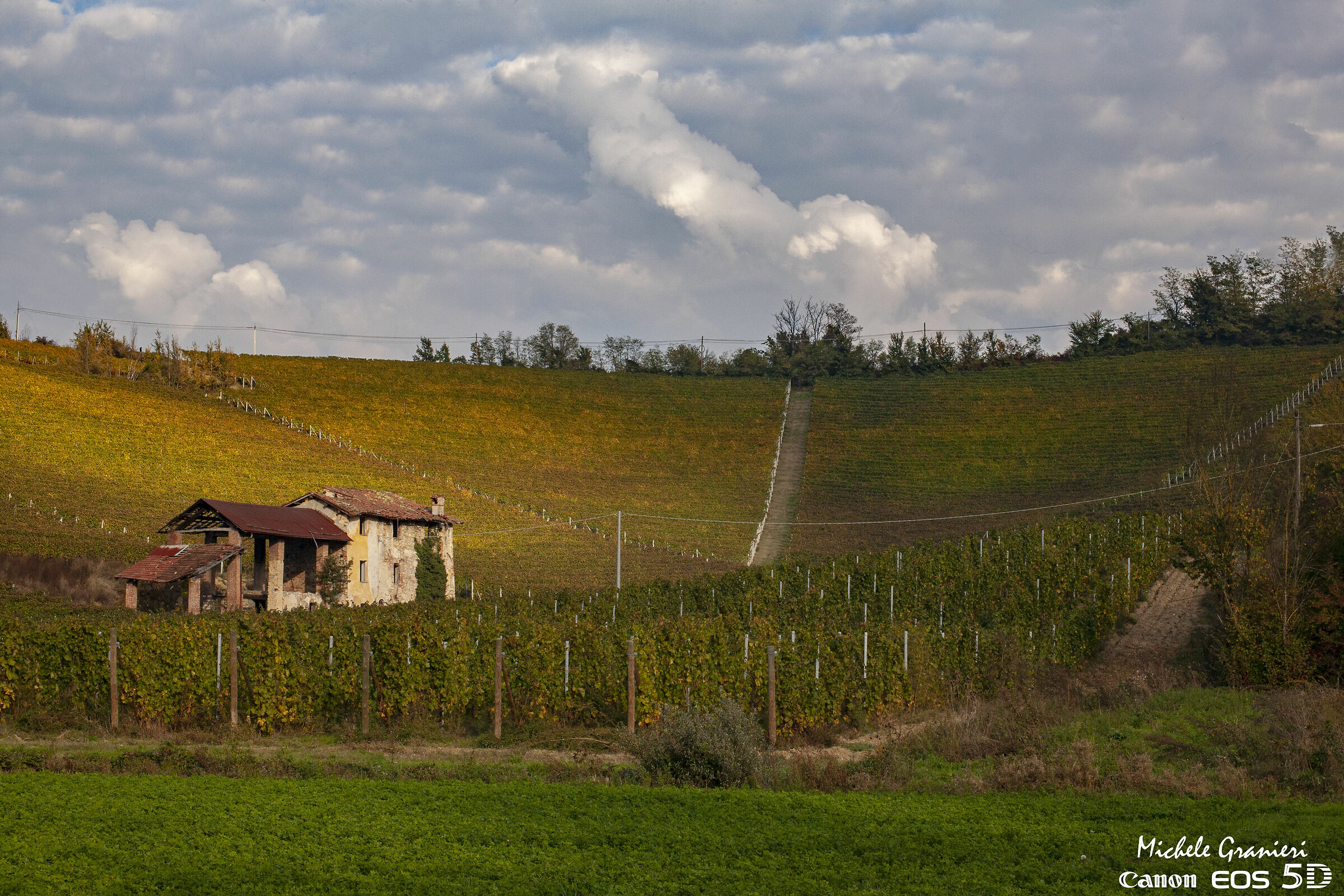 Tra le colline di Gavi