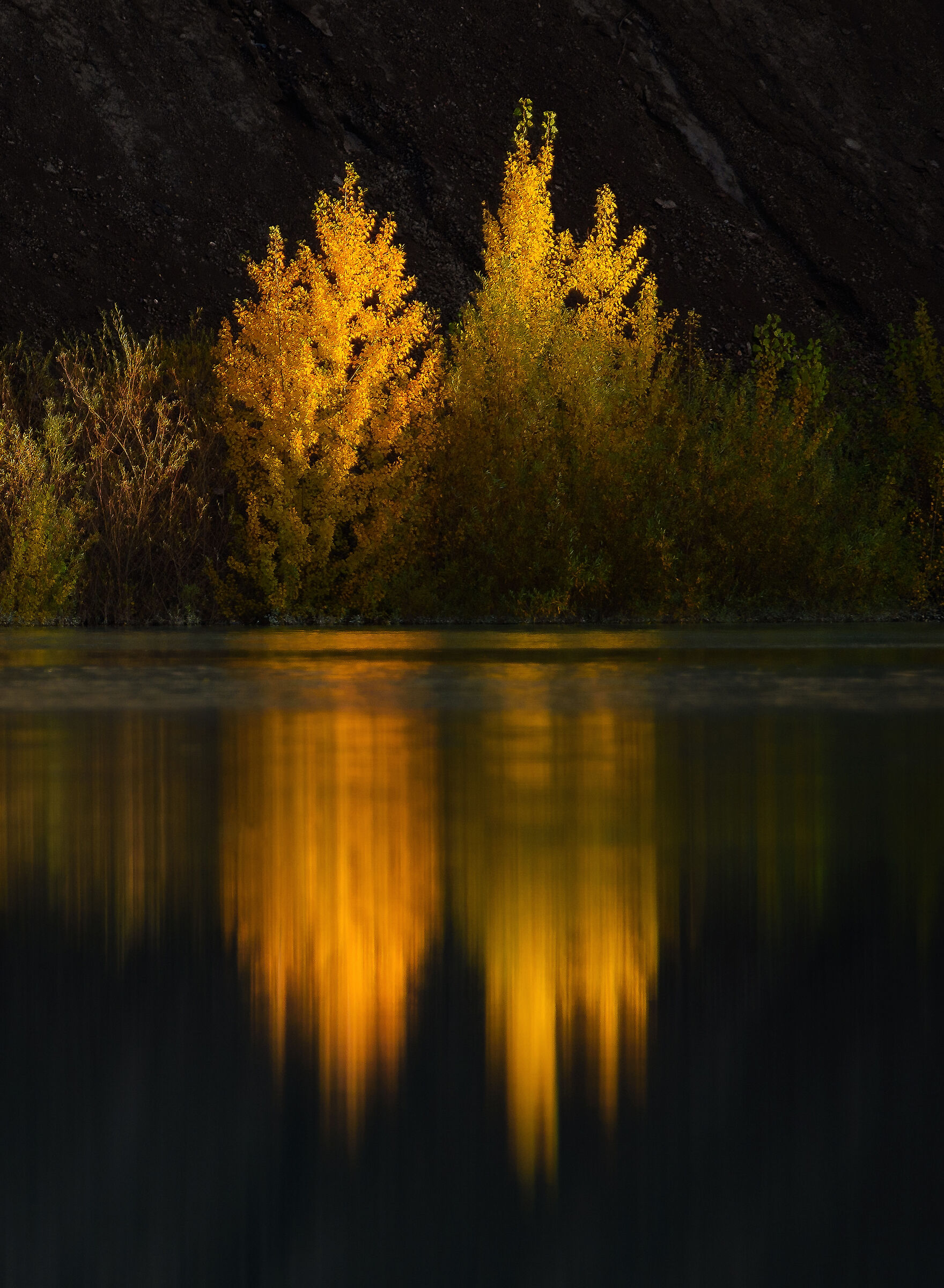 Autumn reflections