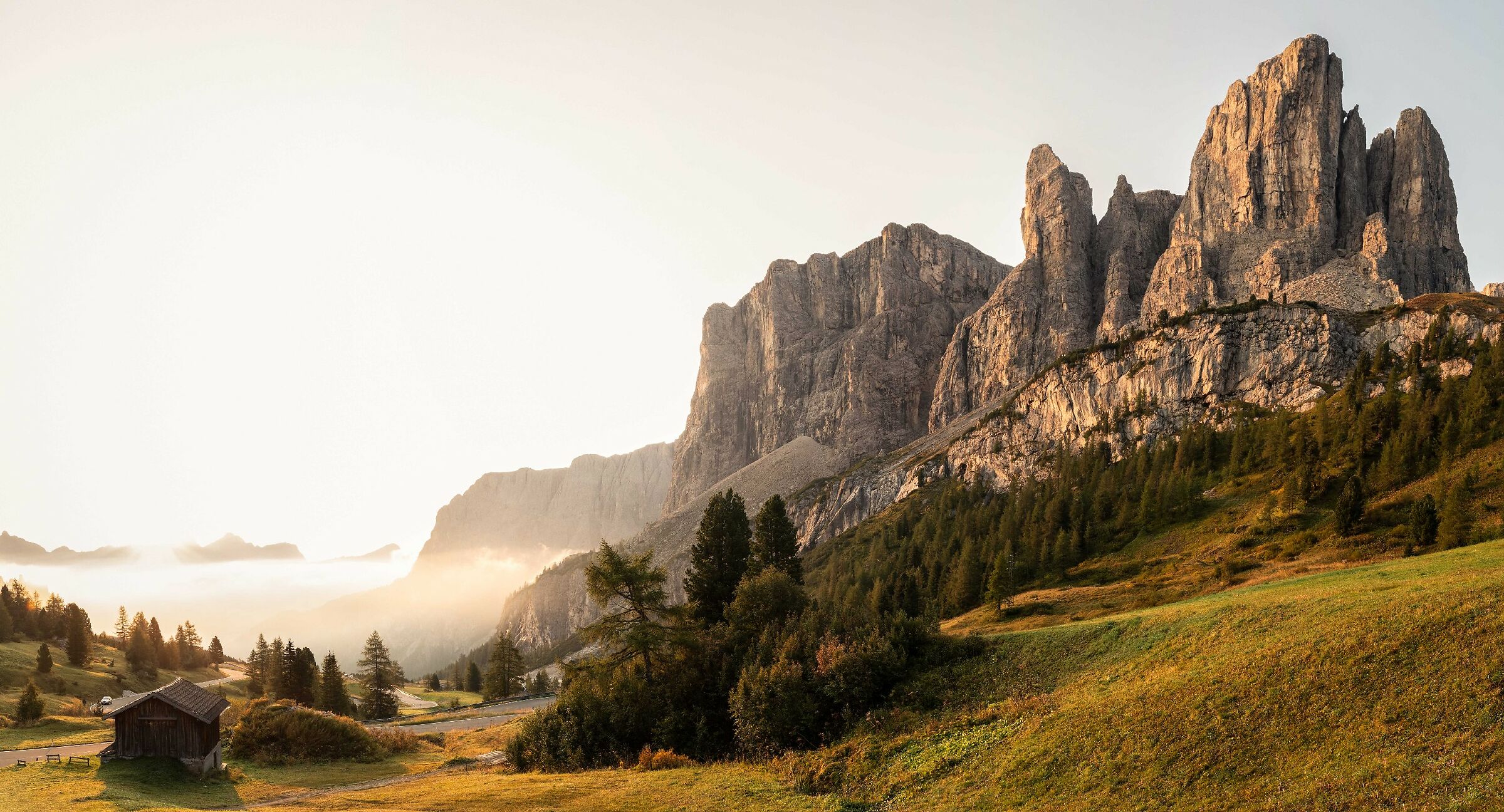 Hypnotized by the light