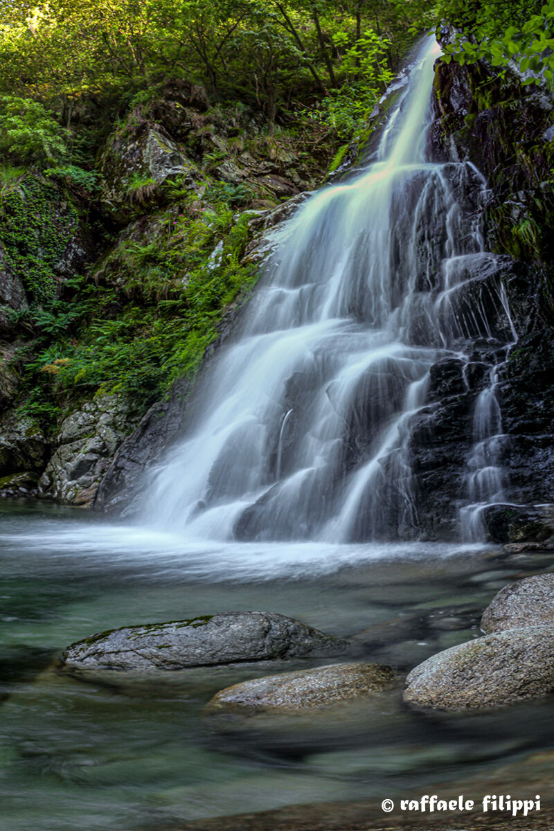 ... where the Janca jumps into the arms of the Elvo