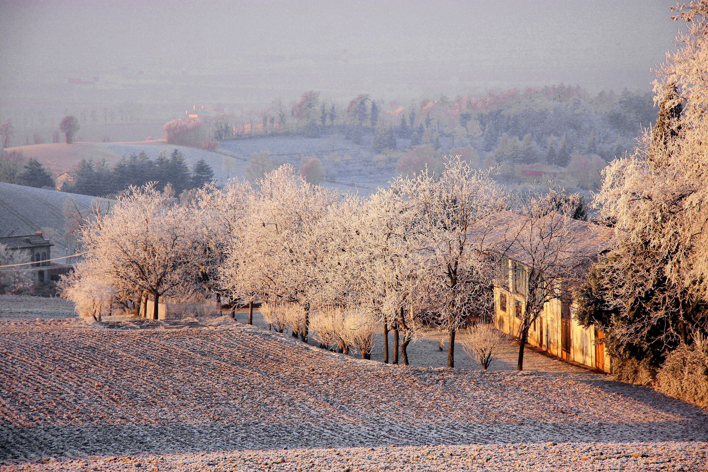 Colla di Valenza (Al))